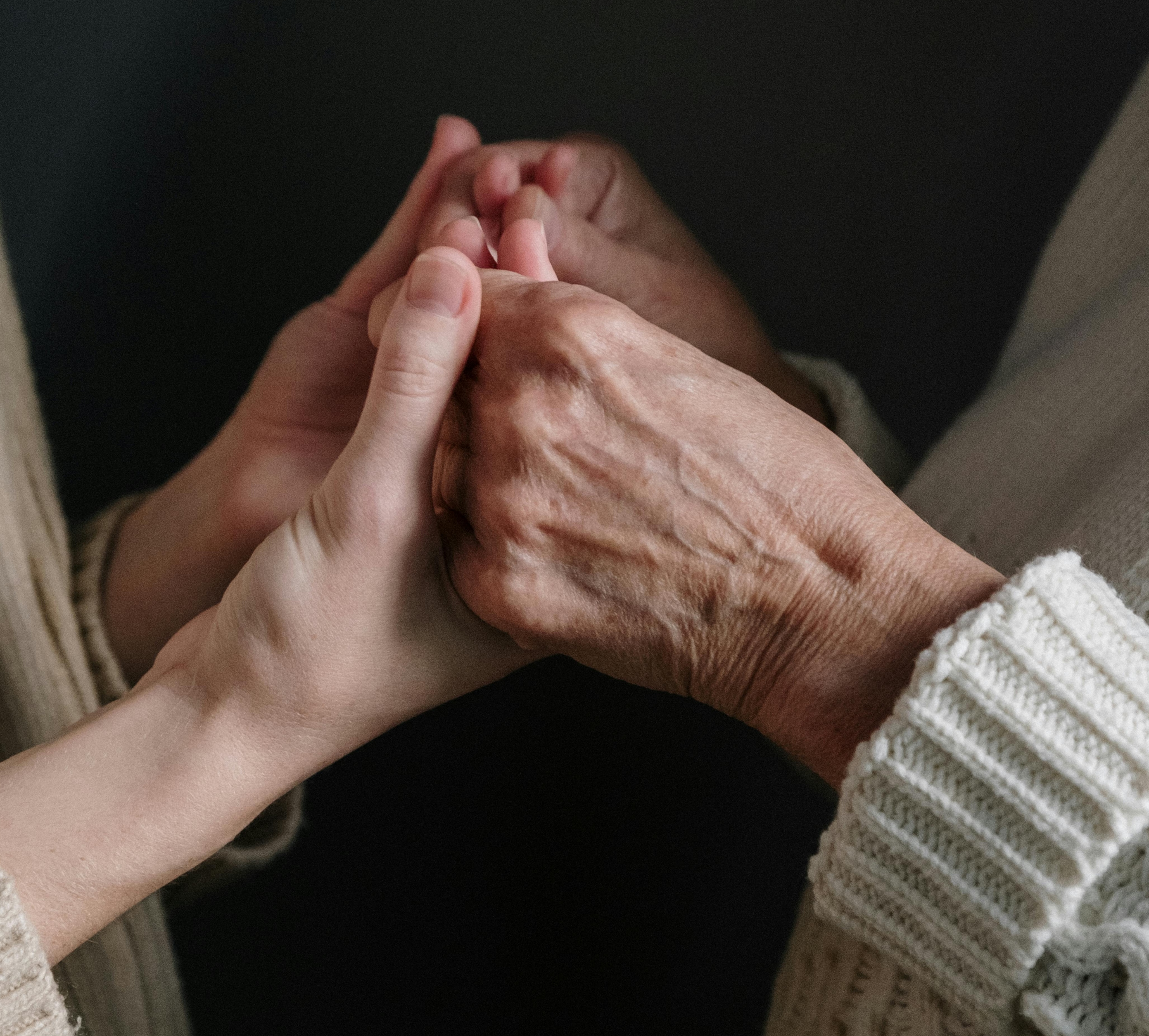 Approvato il progetto Primed-PD 2025