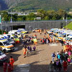 Panoramica delle ambulanze