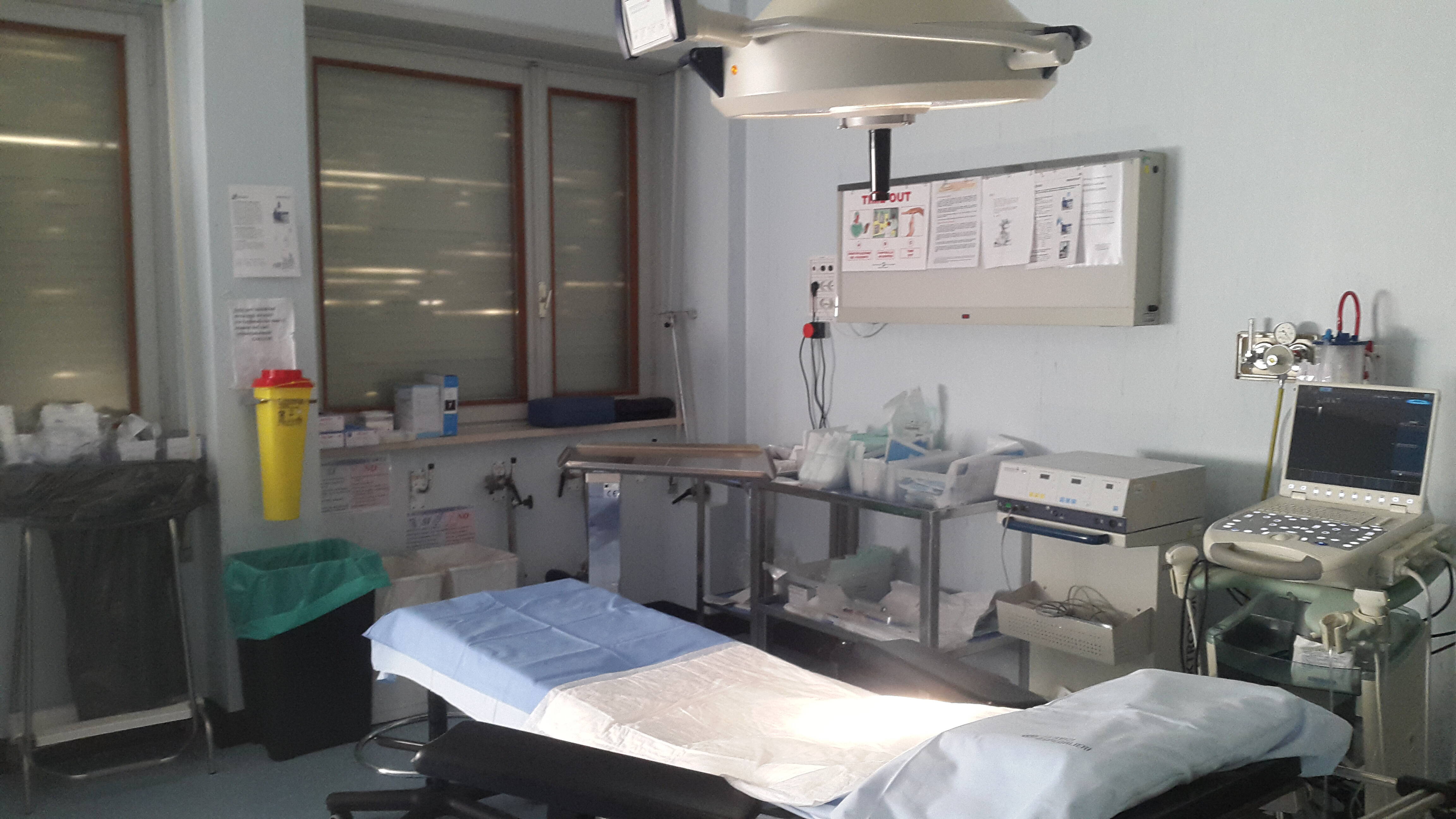 Immagine: 20160125_152610 (5).jpg Creative Commons Attributon–ShareAlike 4.0 International (CC BY-SA 4.0)