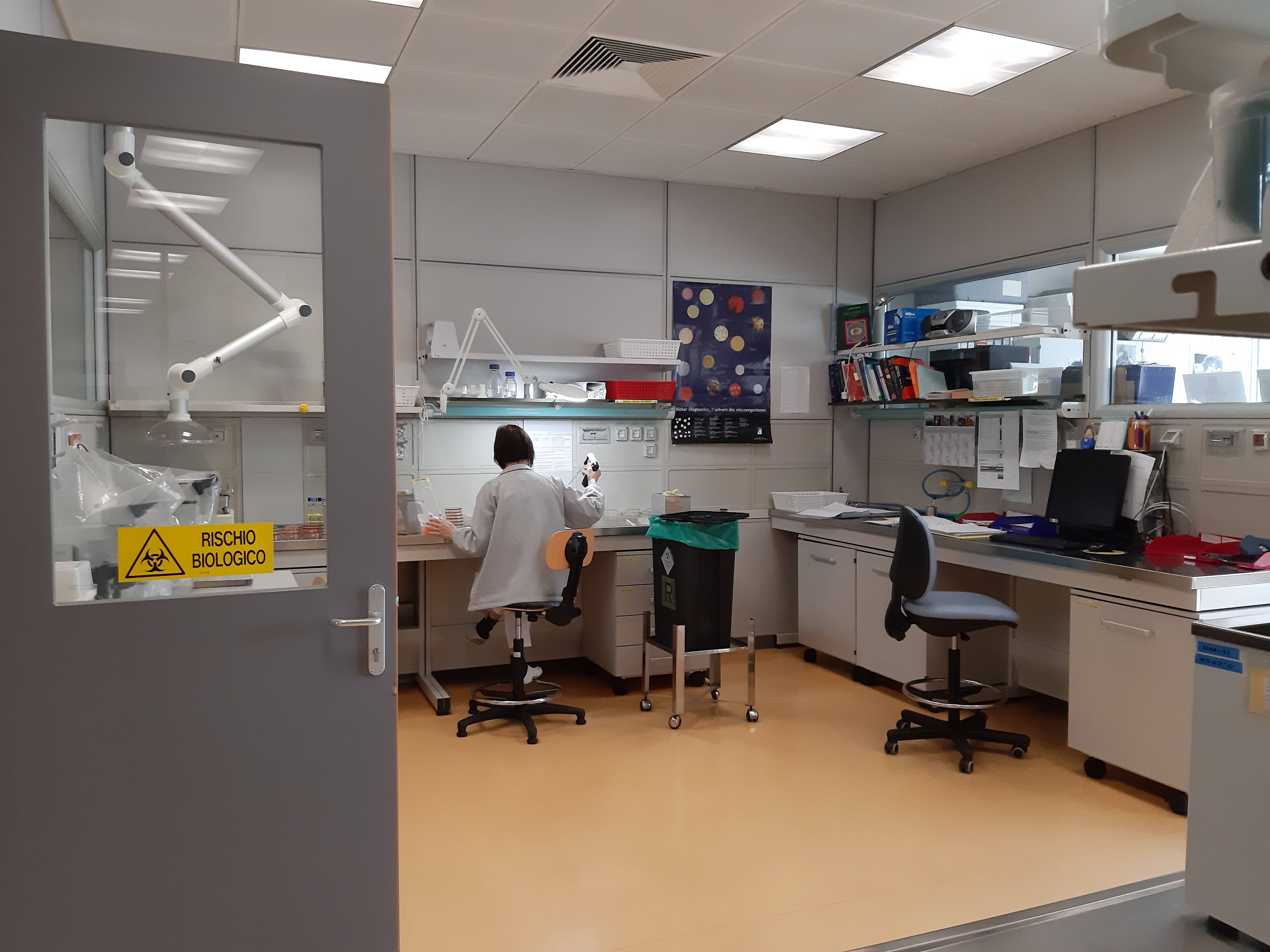 Immagine: 20200131_112630.jpg Creative Commons Attributon–ShareAlike 4.0 International (CC BY-SA 4.0)