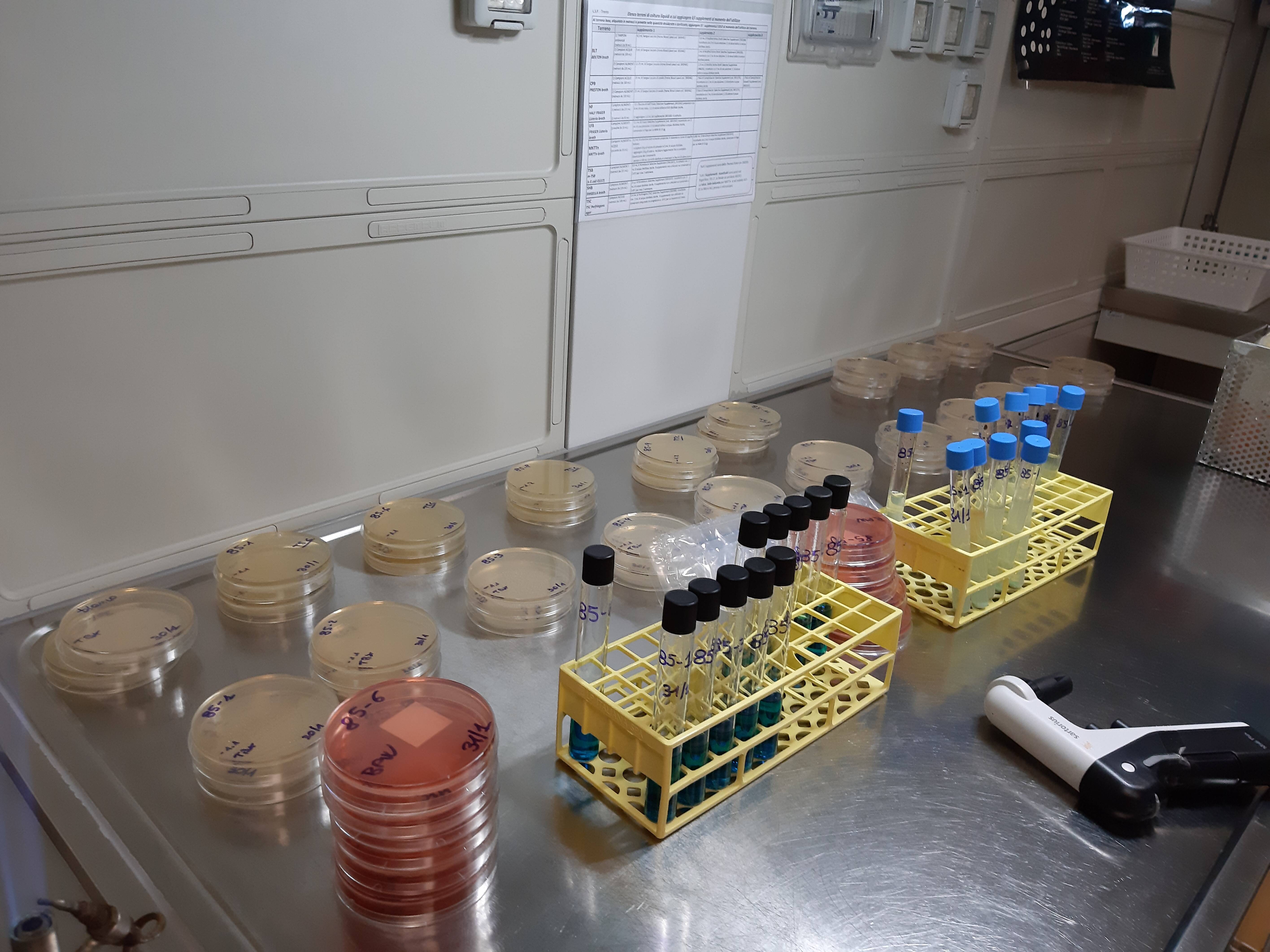 Immagine: 20200131_112914.jpg Creative Commons Attributon–ShareAlike 4.0 International (CC BY-SA 4.0)