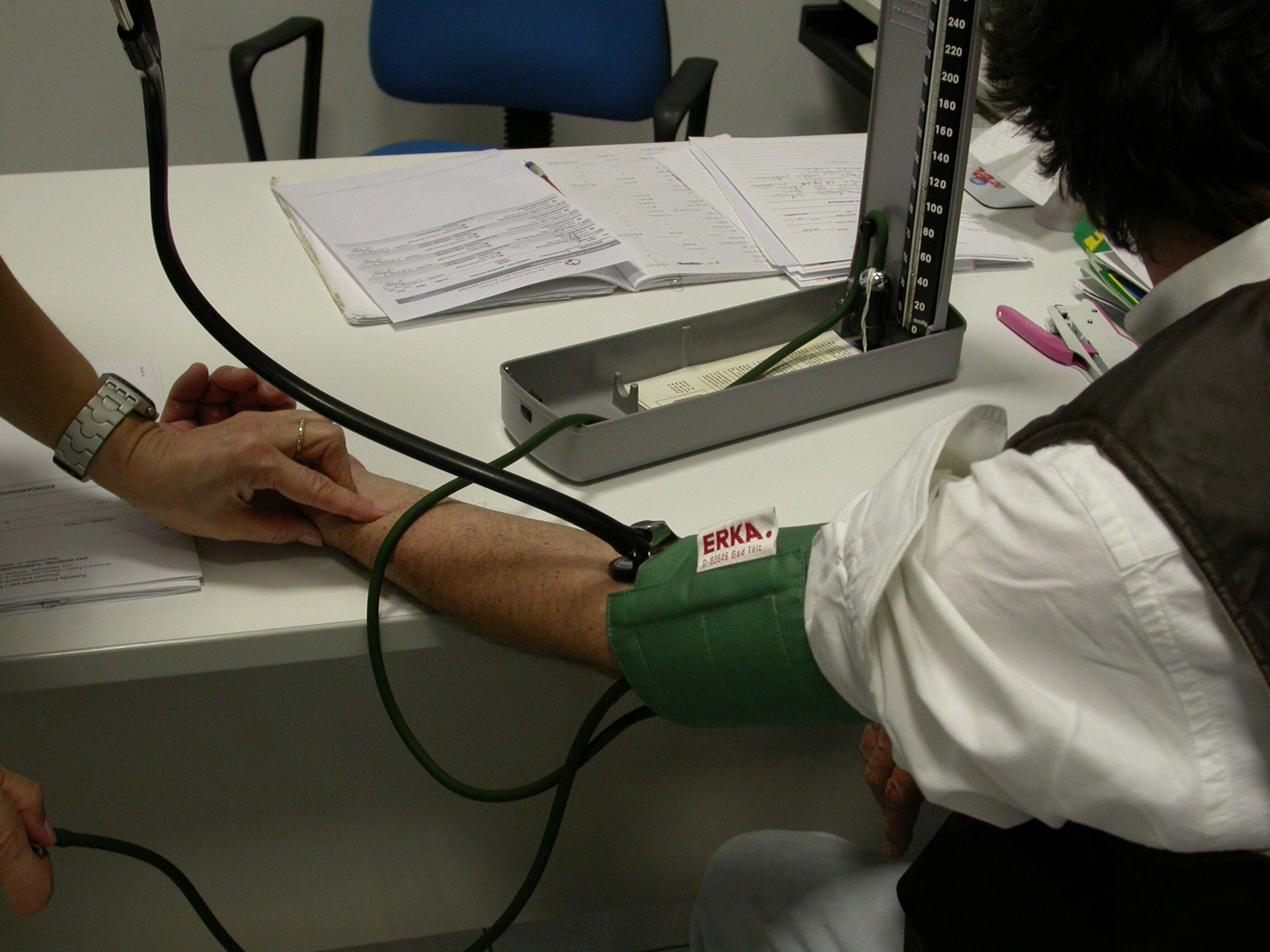 Immagine: DSCN2032.JPG Creative Commons Attributon–ShareAlike 4.0 International (CC BY-SA 4.0)