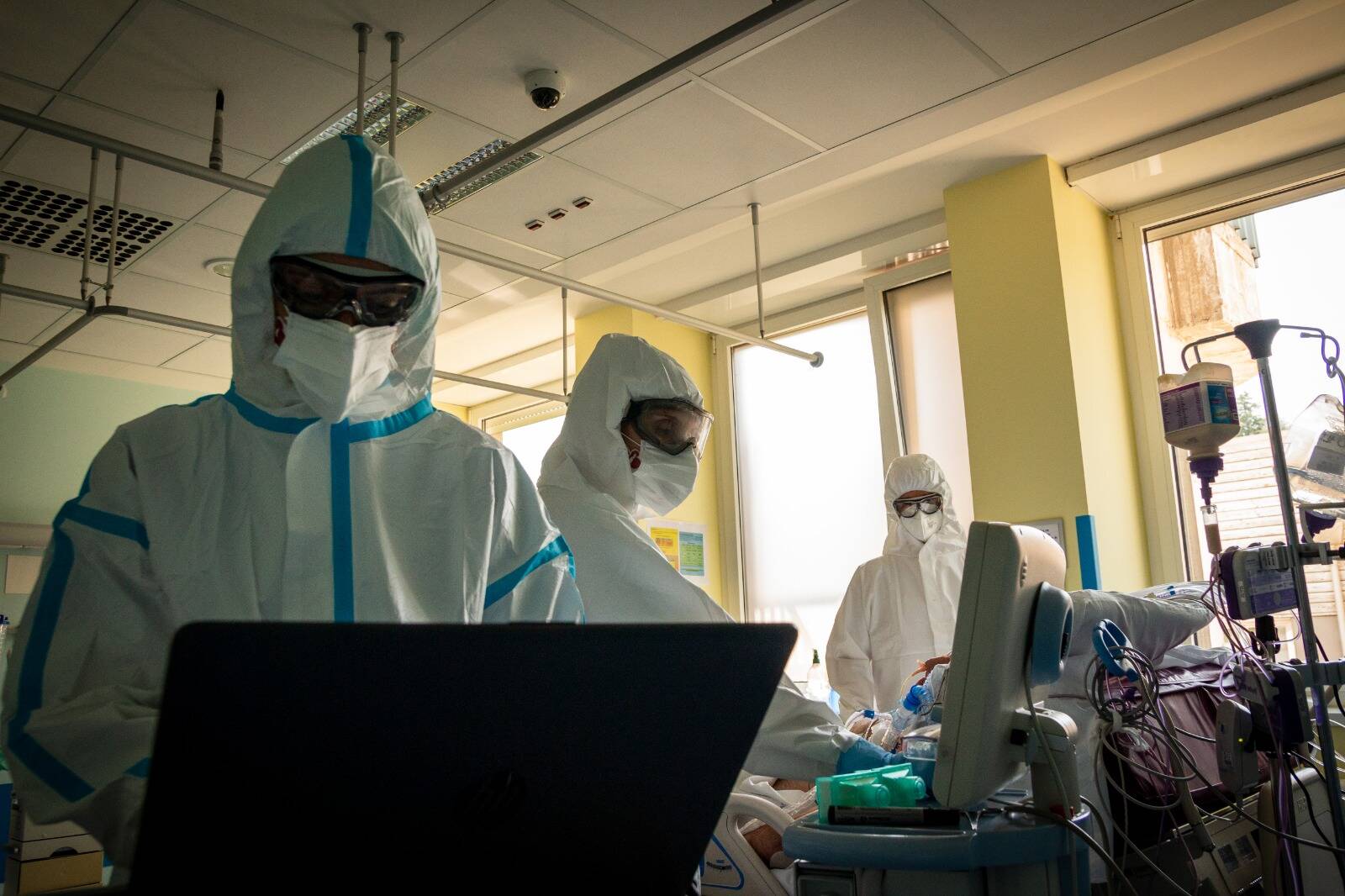 Immagine: @PieroFalco1.jpeg Creative Commons Attributon–ShareAlike 4.0 International (CC BY-SA 4.0)