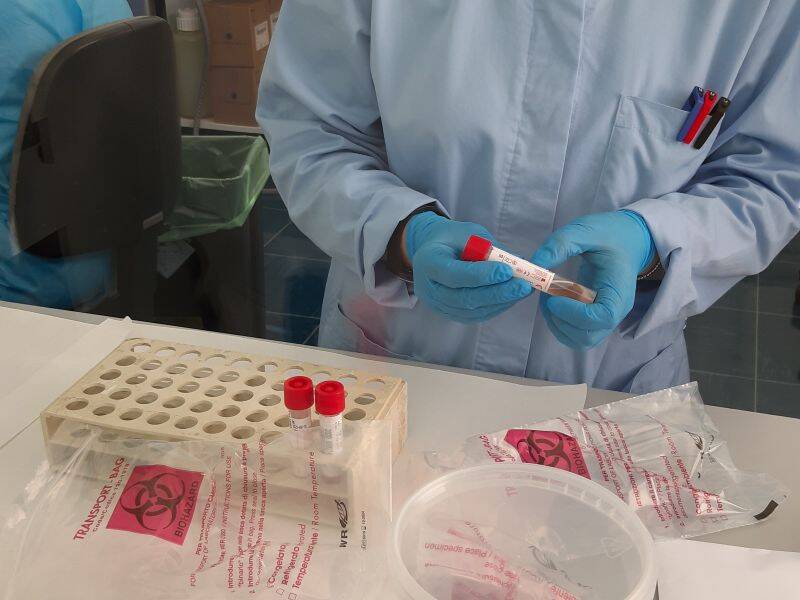 Immagine: foto  APSS - laboratorio microbiologia S.Chiara e tamponi Covid -2.jpg Creative Commons Attributon–ShareAlike 4.0 International (CC BY-SA 4.0)