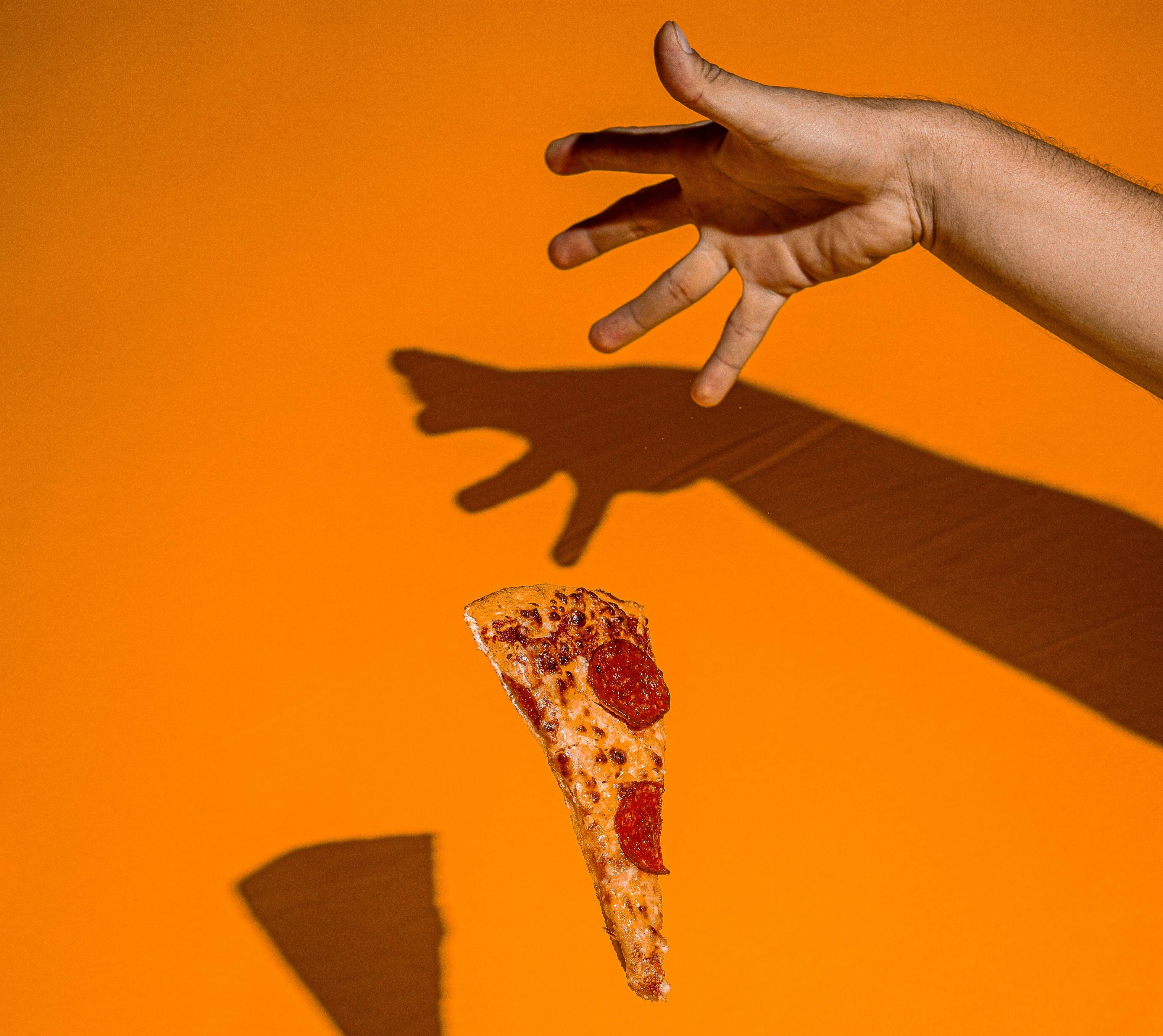 Immagine: pexels-ramon-hernandez-243129494-17907814.jpg Creative Commons Attributon–ShareAlike 4.0 International (CC BY-SA 4.0)