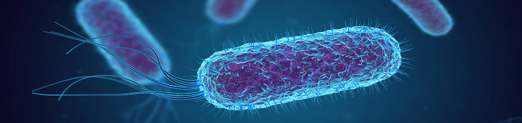 Immagine: banner STEC.jpg Creative Commons Attributon–ShareAlike 4.0 International (CC BY-SA 4.0)