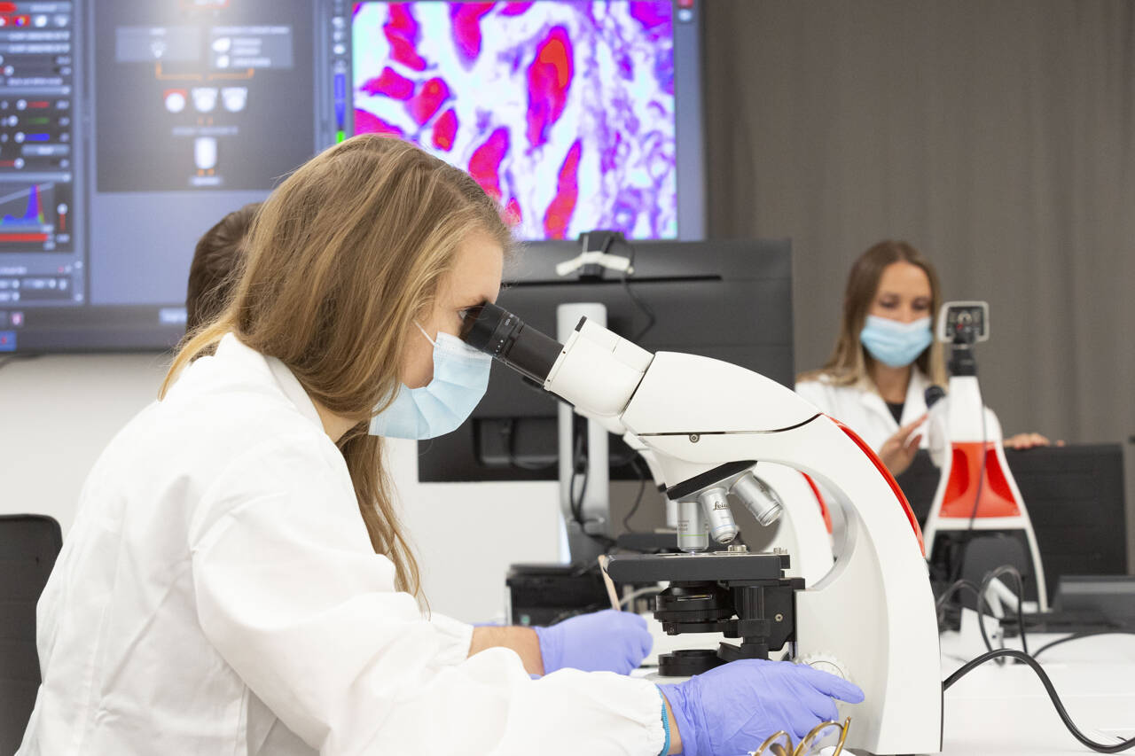 Immagine: Copia di UNITN_MEDICINA_0058.JPG Creative Commons Attributon–ShareAlike 4.0 International (CC BY-SA 4.0)