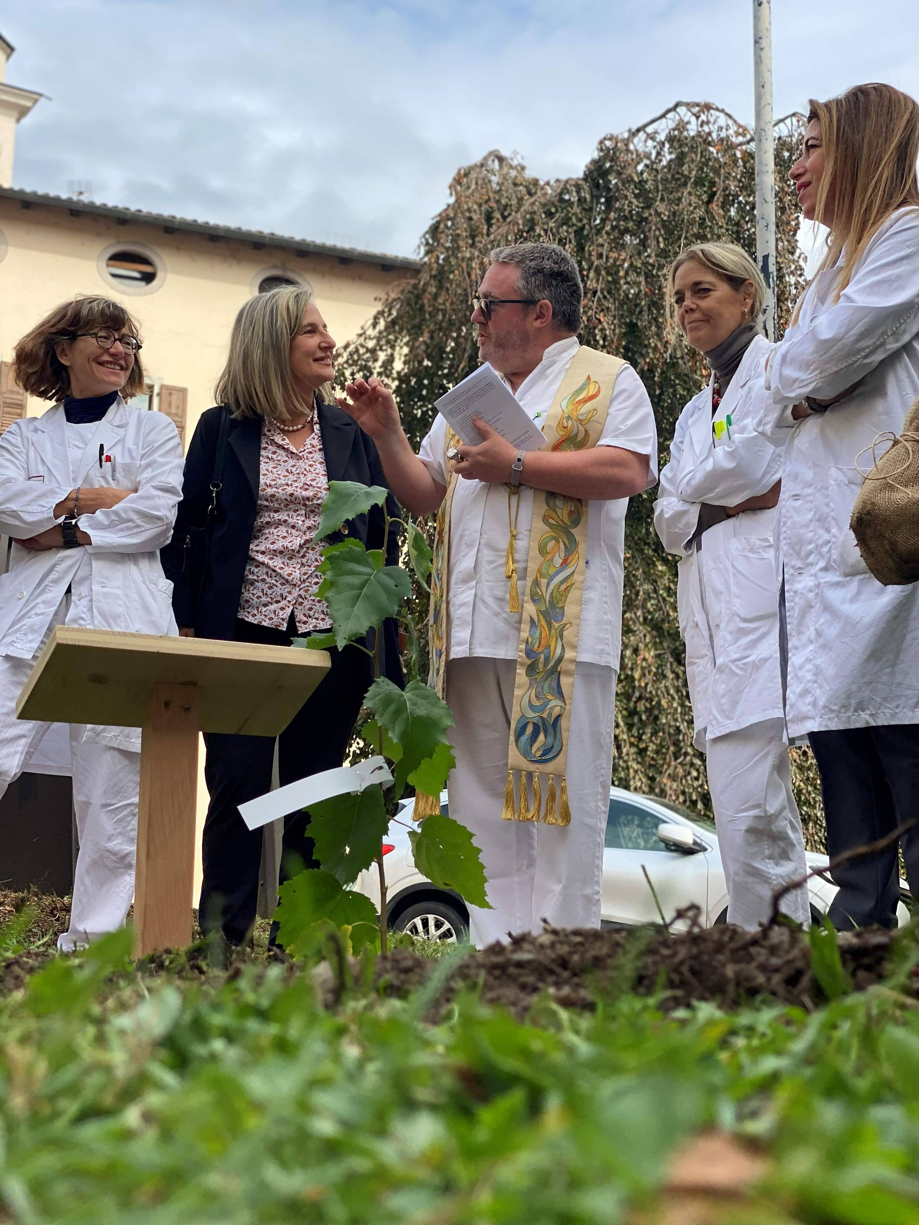 Immagine: Un albero per la salute 3.jpg Creative Commons Attributon–ShareAlike 4.0 International (CC BY-SA 4.0)