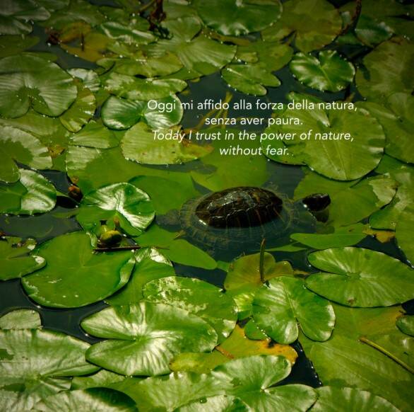 Immagine: L'arte che cura 4.jpeg Creative Commons Attributon–ShareAlike 4.0 International (CC BY-SA 4.0)