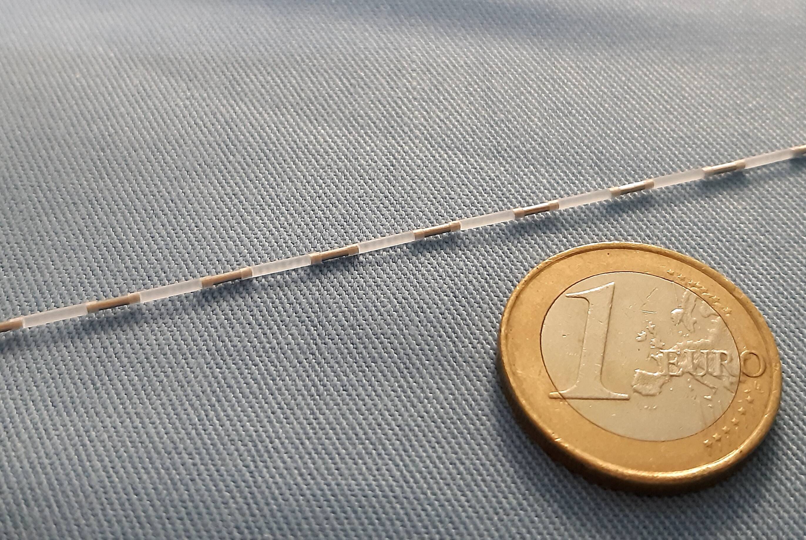 Immagine: seeds with 1 euro coin.jpg 