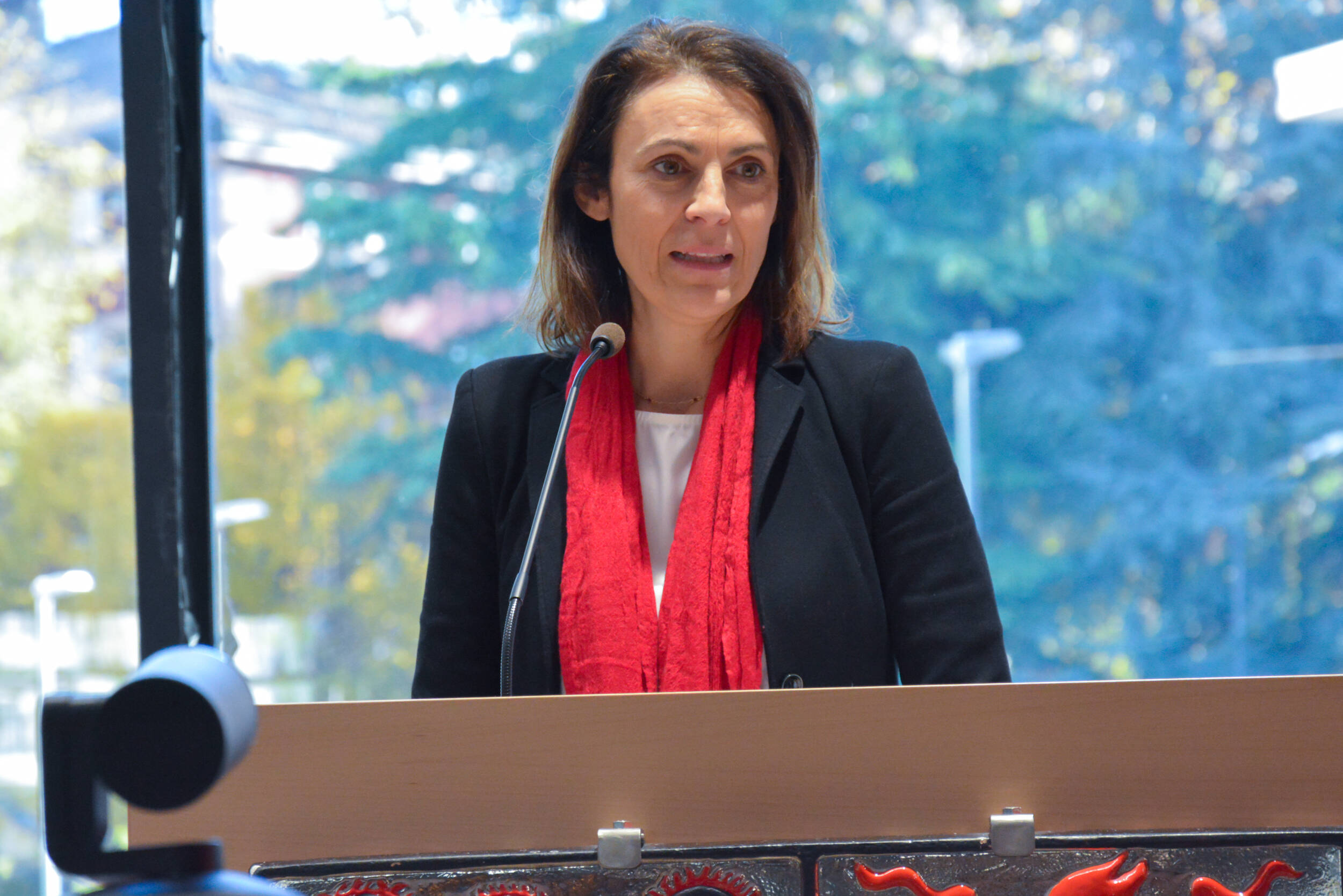 Immagine: DSC_6104.jpg Creative Commons Attributon–ShareAlike 4.0 International (CC BY-SA 4.0)