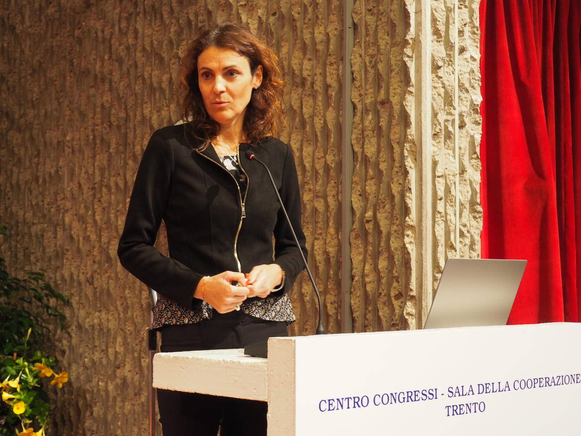 Immagine: SegnanaOk_imagefullwide.jpg Creative Commons Attributon–ShareAlike 4.0 International (CC BY-SA 4.0)