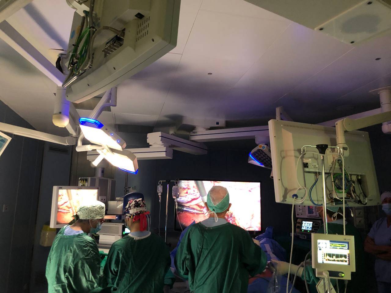 Immagine: photo1685010462.jpeg 