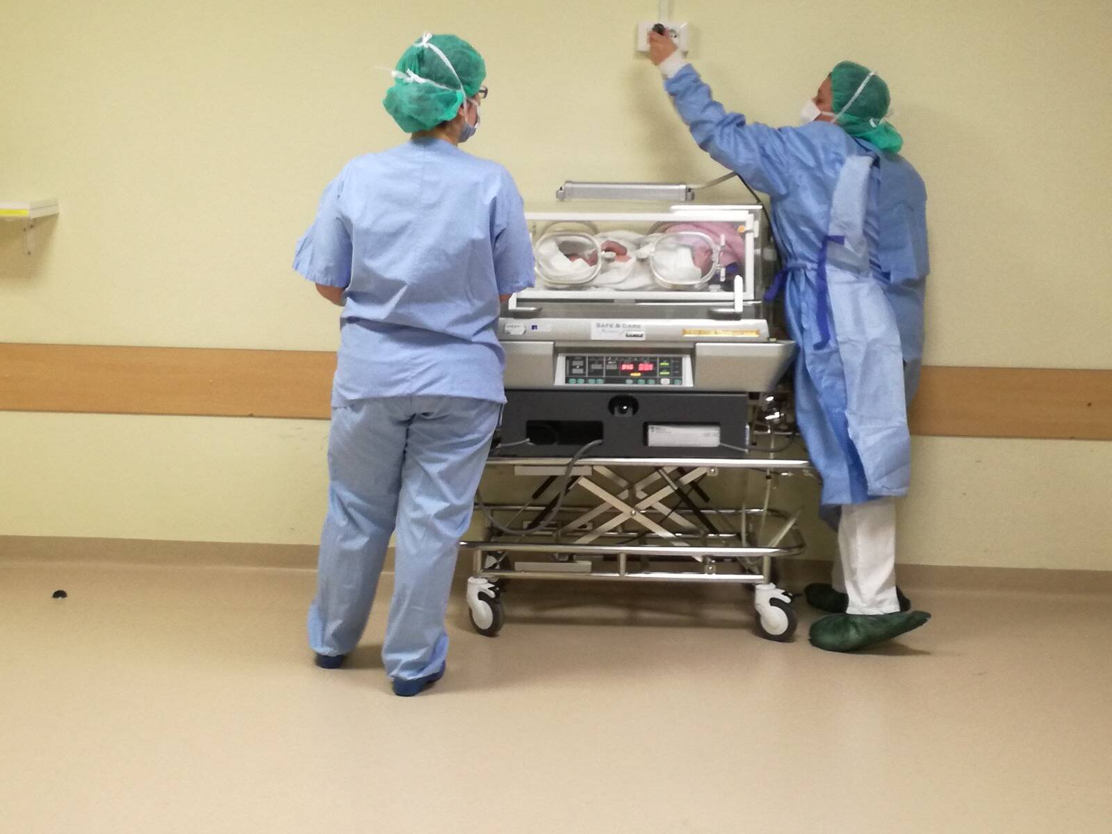 Immagine: WhatsApp Image 2023-05-10 at 16.35.53.jpeg Creative Commons Attributon–ShareAlike 4.0 International (CC BY-SA 4.0)