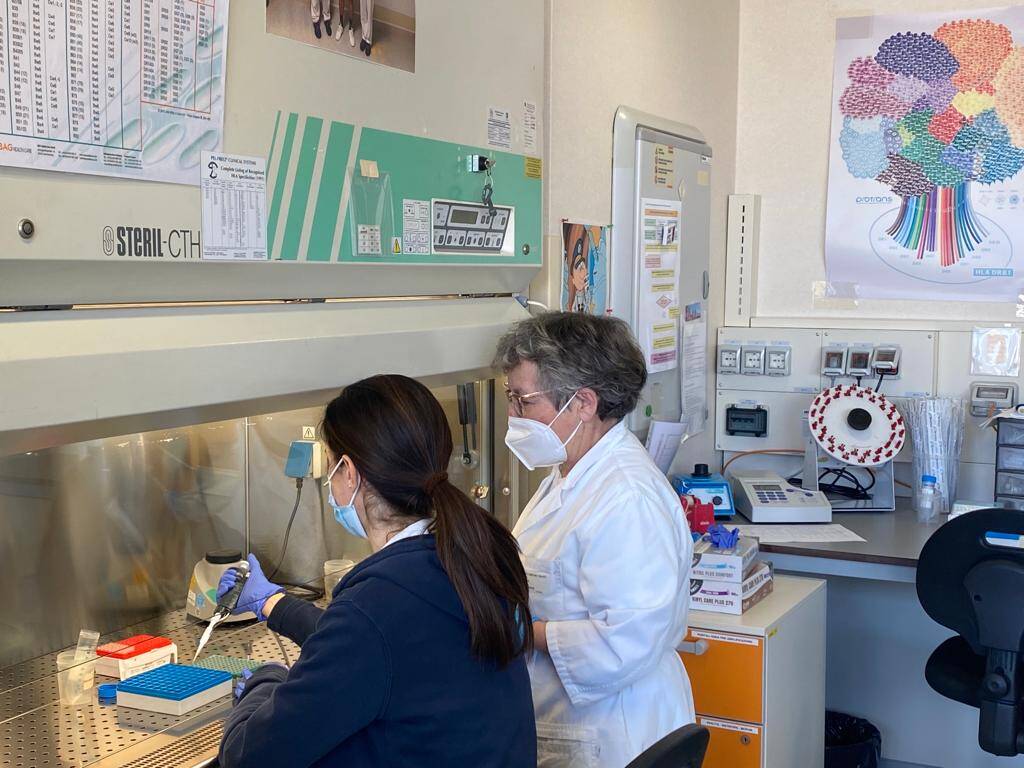 Immagine: ambulatorio hla trento.jpeg Creative Commons Attributon–ShareAlike 4.0 International (CC BY-SA 4.0)