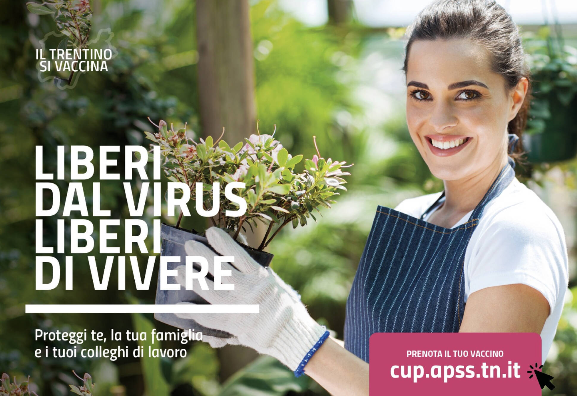 Immagine: 1D3C81EE-3EDB-41AE-B325-5ABD71D30D9C.jpeg Creative Commons Attributon–ShareAlike 4.0 International (CC BY-SA 4.0)