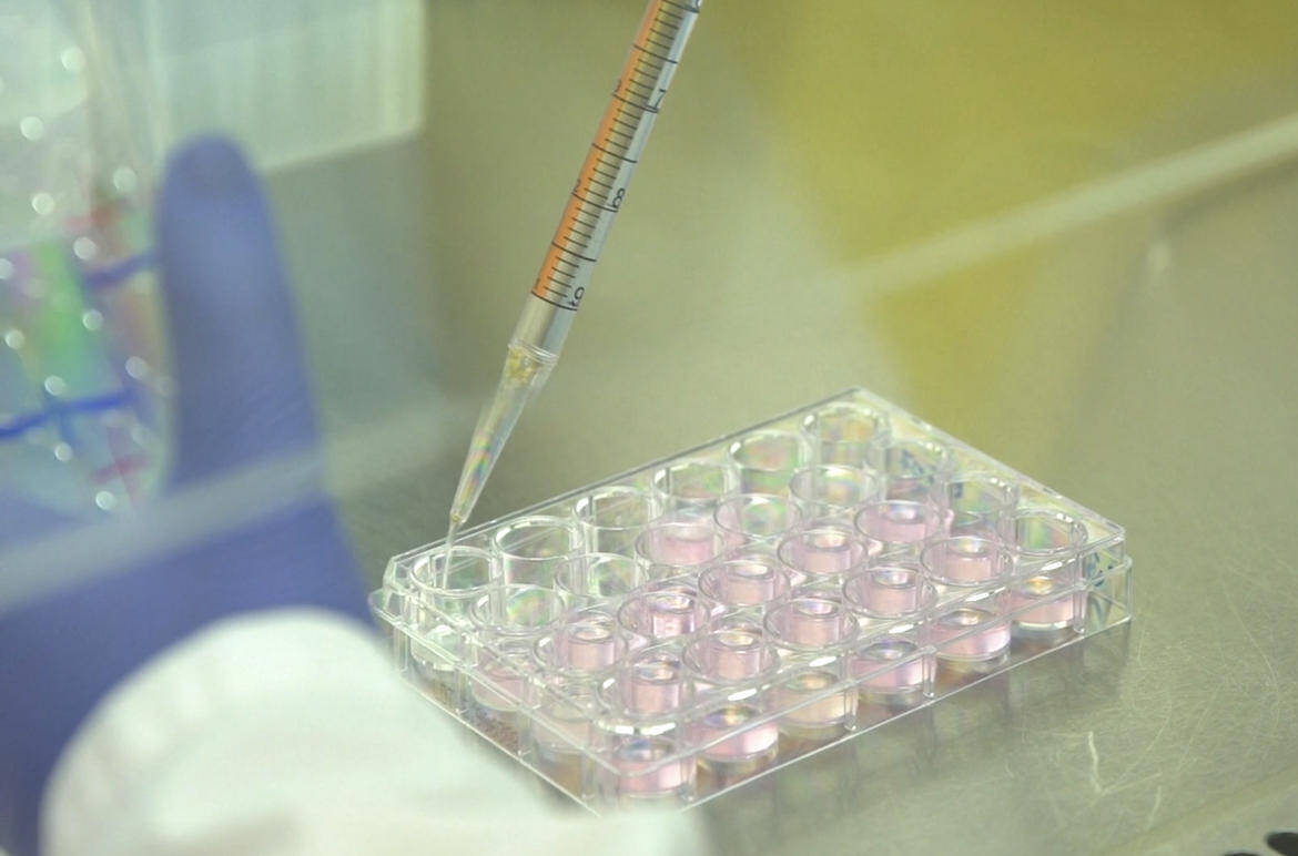 Immagine: 848FD3C9-DBB9-4A9A-910F-F402E9544681_imagefullwide (2).jpg Creative Commons Attributon–ShareAlike 4.0 International (CC BY-SA 4.0)