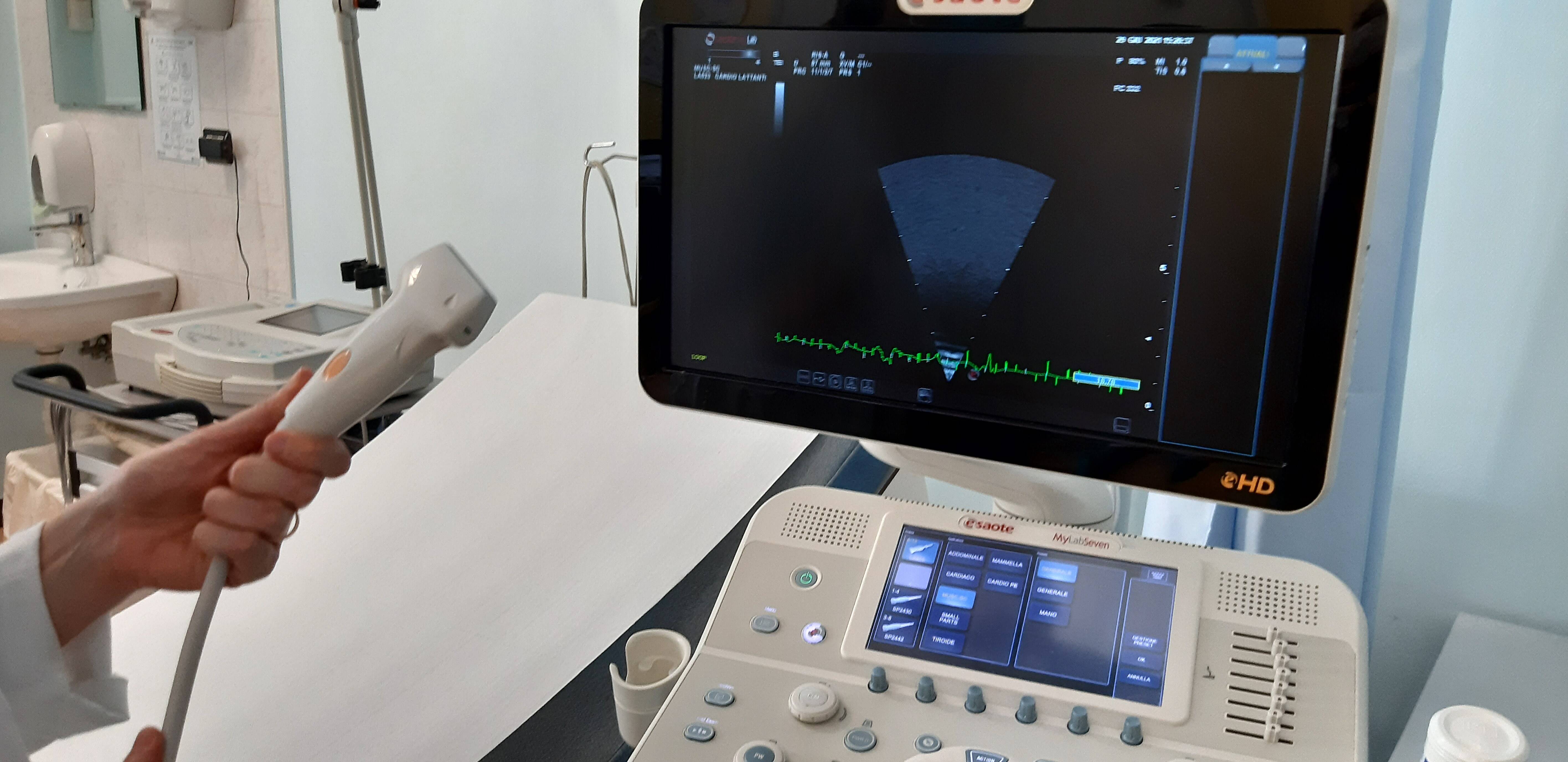 Immagine: 20210629_152107.jpg Creative Commons Attributon–ShareAlike 4.0 International (CC BY-SA 4.0)