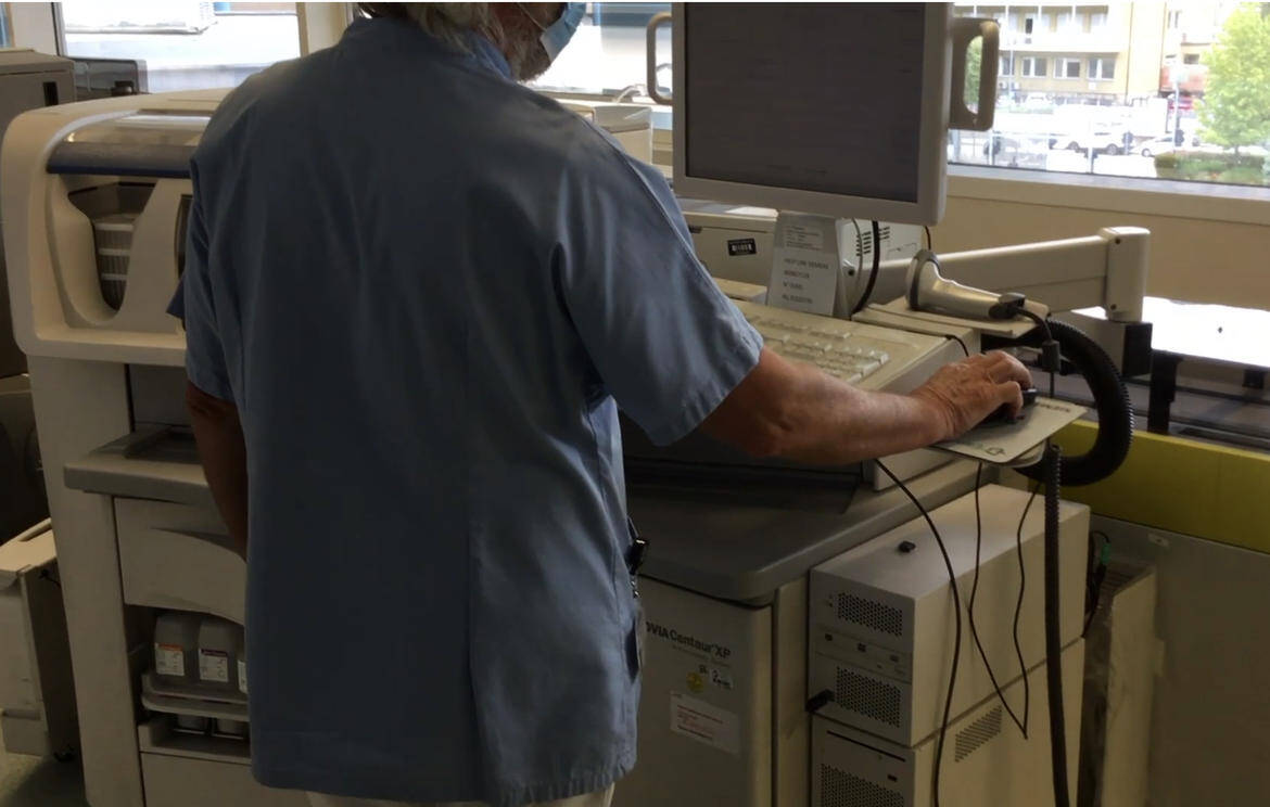 Immagine: 74940449-EBEF-4E1E-9705-F3B5E972A84E_imagefullwide.jpg Creative Commons Attributon–ShareAlike 4.0 International (CC BY-SA 4.0)