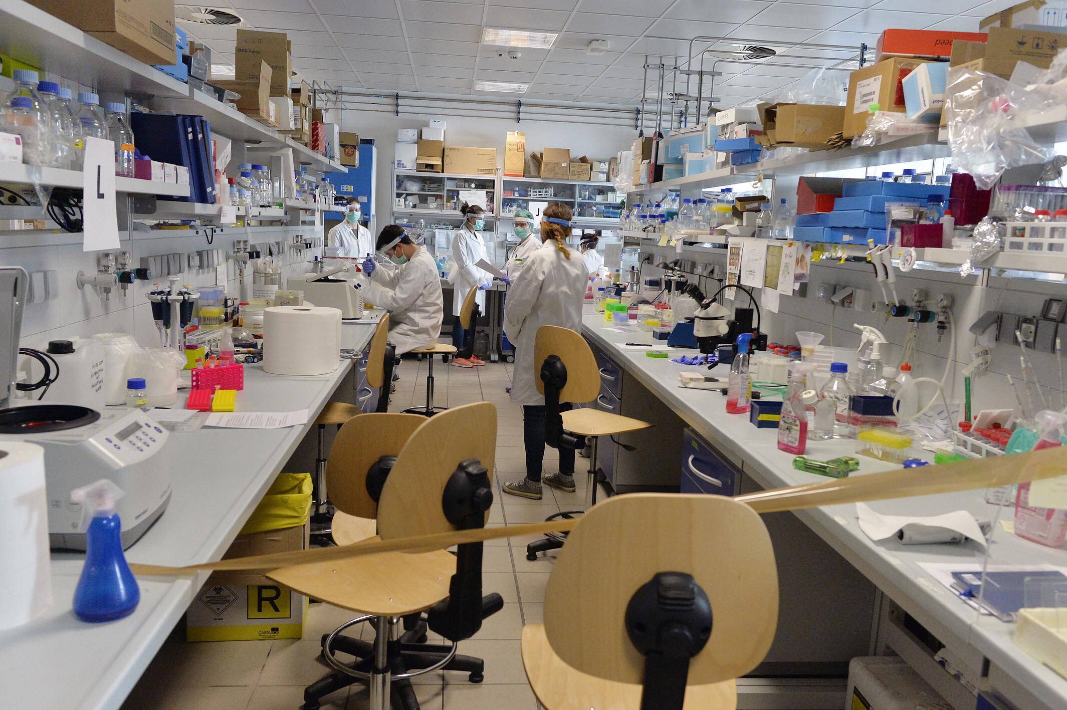 Immagine: CIBIO_Ph Alessio Coser_ALE2804.jpg Creative Commons Attributon–ShareAlike 4.0 International (CC BY-SA 4.0)