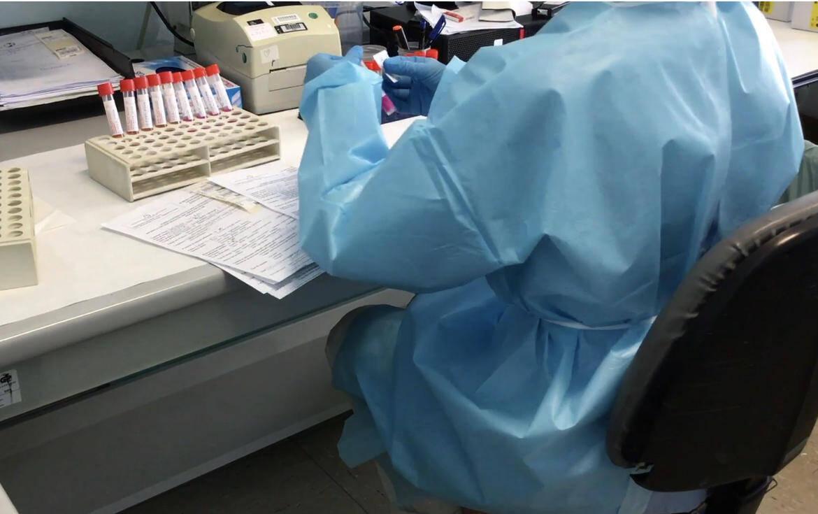 Immagine: 03414A85-E06D-411B-BD98-2D4968E6A9A1_imagefullwide.jpg Creative Commons Attributon–ShareAlike 4.0 International (CC BY-SA 4.0)