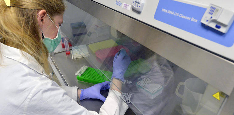 Immagine: unnamed (51).jpg Creative Commons Attributon–ShareAlike 4.0 International (CC BY-SA 4.0)