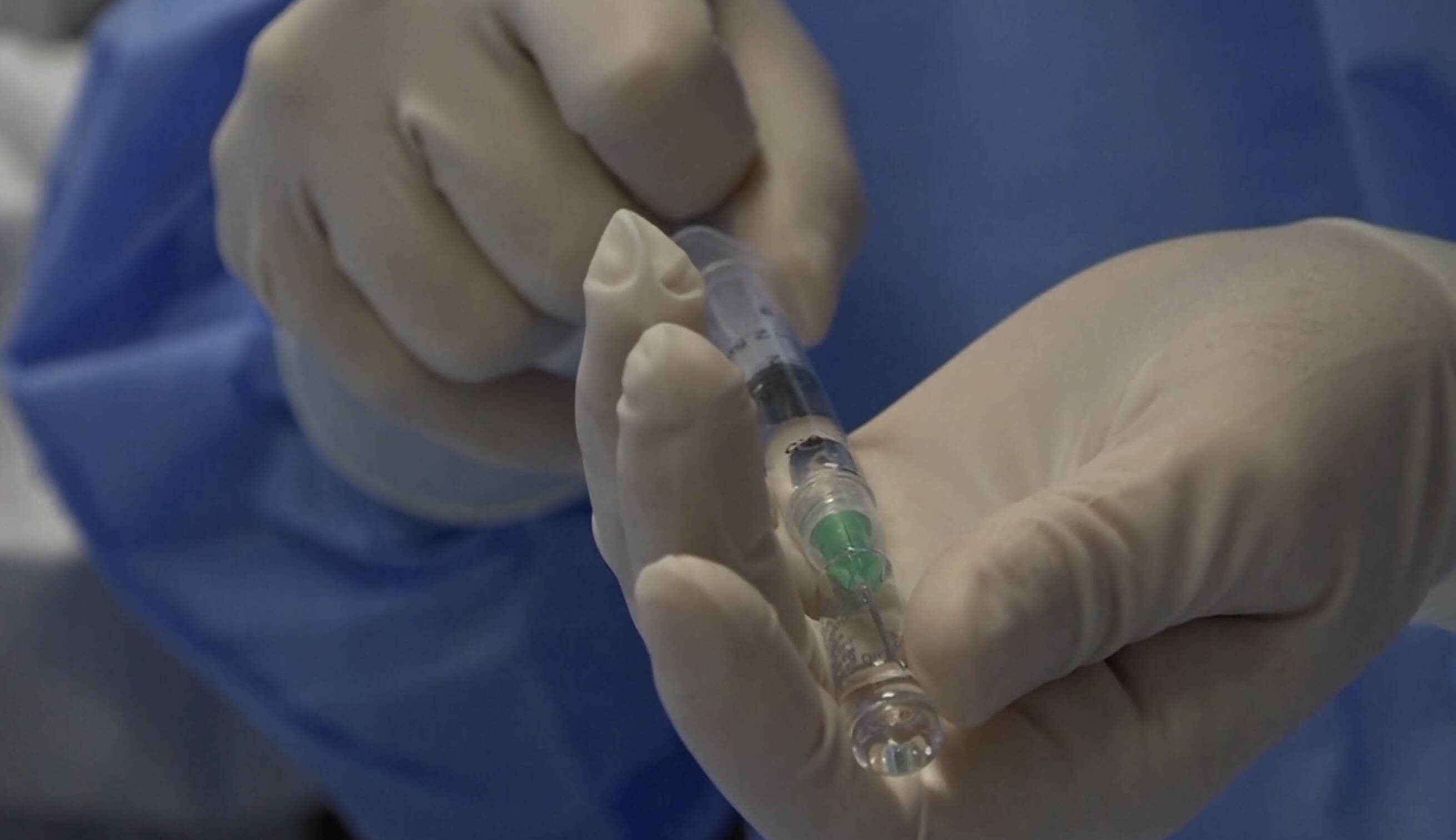 Immagine: BFC02B18-ACF1-468C-8739-06EC4C3506A0.jpeg Creative Commons Attributon–ShareAlike 4.0 International (CC BY-SA 4.0)