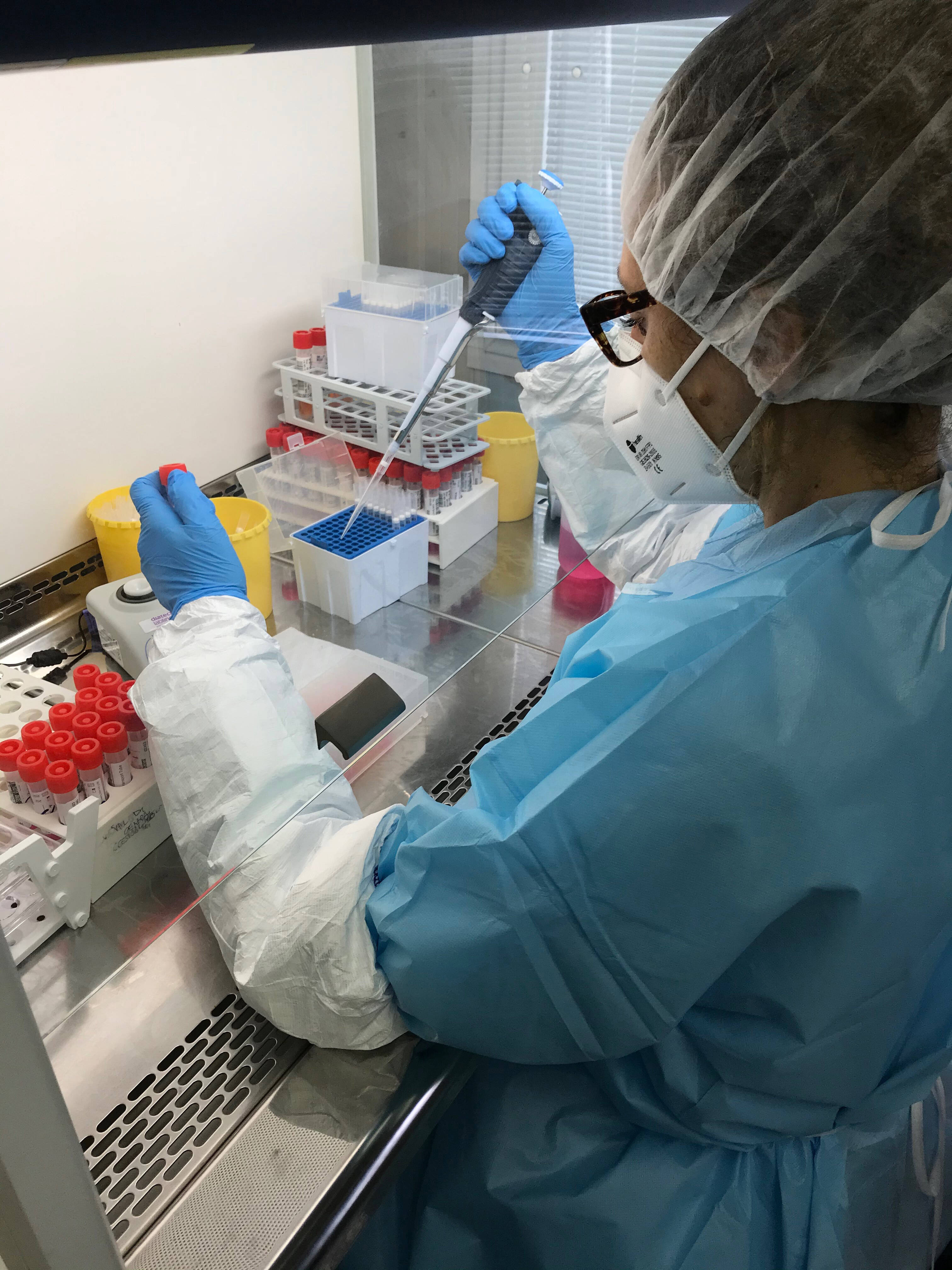 Immagine: Laboratori FEMC19FEM FF sotto cappa con tampone (3).jpg Creative Commons Attributon–ShareAlike 4.0 International (CC BY-SA 4.0)