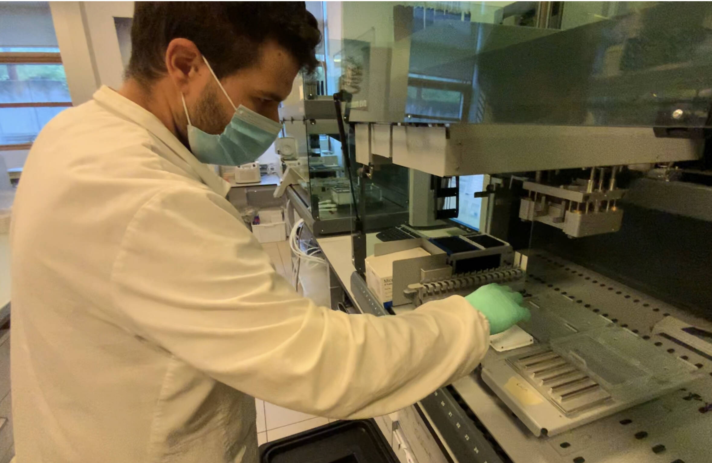 Immagine: C8420EC9-D73E-46FC-B4D9-244937C742C7.jpeg Creative Commons Attributon–ShareAlike 4.0 International (CC BY-SA 4.0)