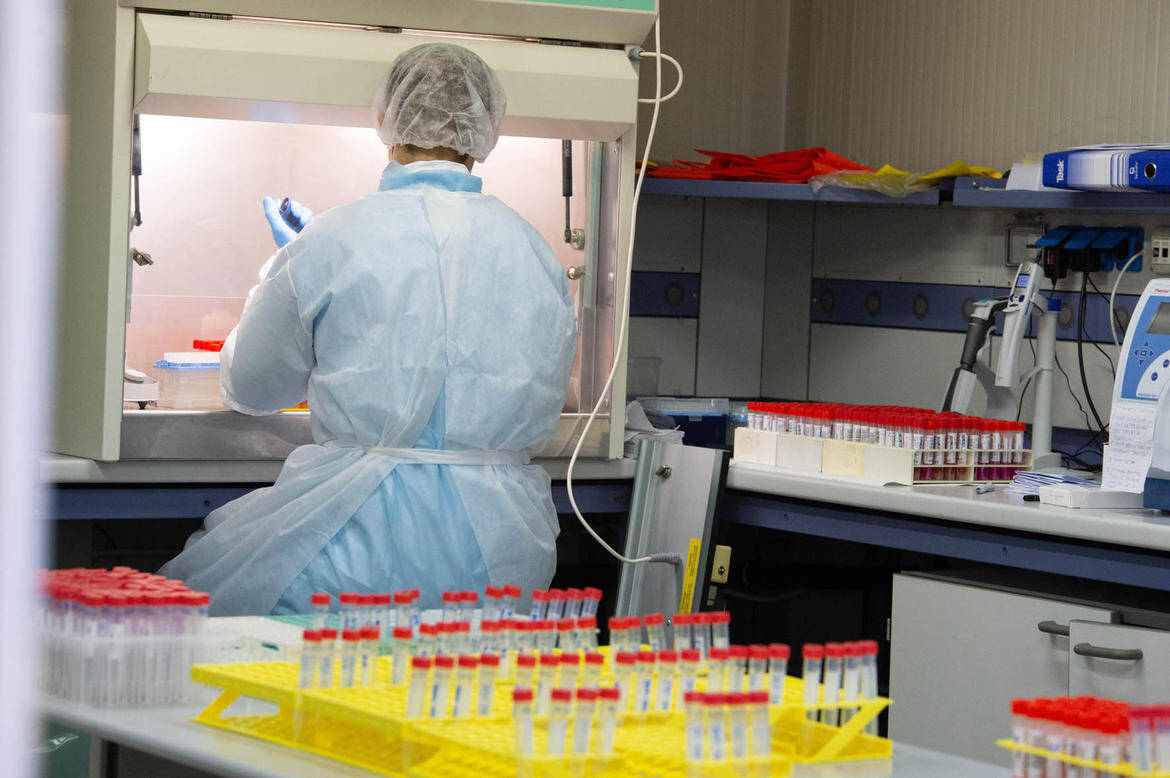 Immagine: 11 (1).jpg Creative Commons Attributon–ShareAlike 4.0 International (CC BY-SA 4.0)