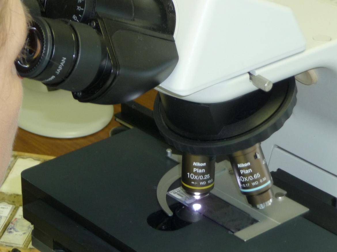 Immagine: P1000437_imagefullwide.jpg Creative Commons Attributon–ShareAlike 4.0 International (CC BY-SA 4.0)