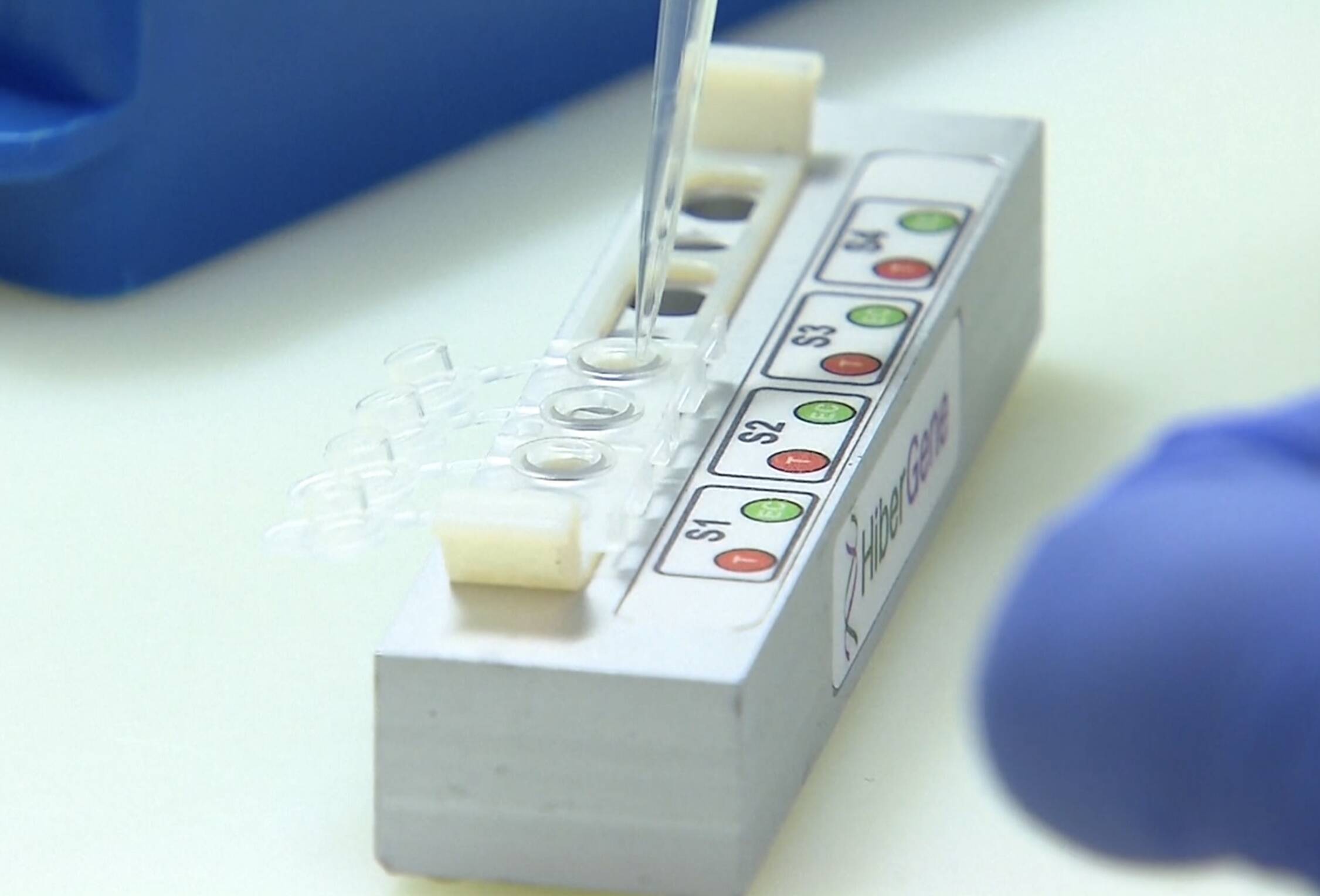 Immagine: 04761301-595F-4532-80CC-931140E5186F.jpeg Creative Commons Attributon–ShareAlike 4.0 International (CC BY-SA 4.0)