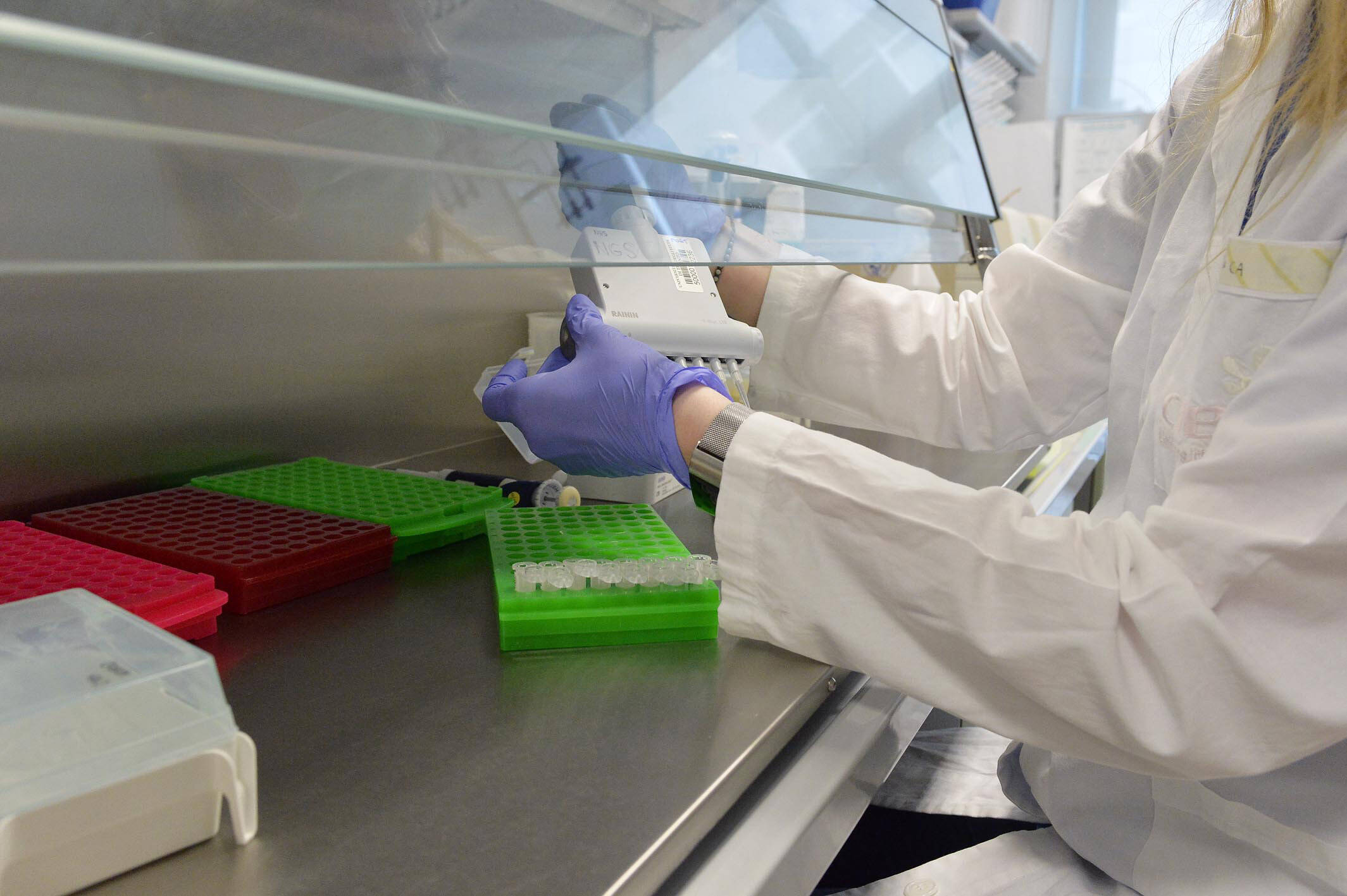 Immagine: CIBIO_Ph Alessio Coser_ALE2891 (1).jpg Creative Commons Attributon–ShareAlike 4.0 International (CC BY-SA 4.0)