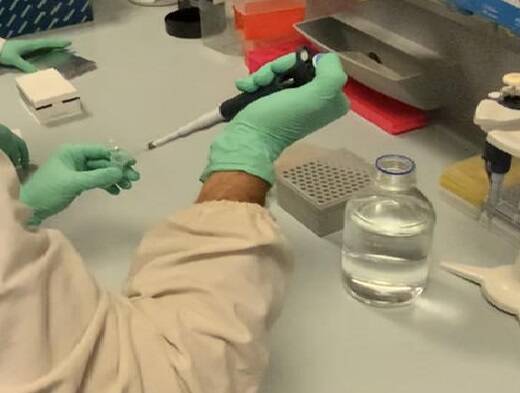 Immagine: 2r (1).jpg Creative Commons Attributon–ShareAlike 4.0 International (CC BY-SA 4.0)