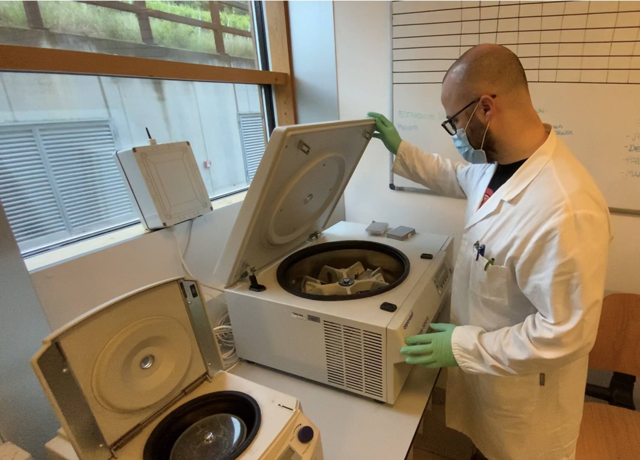 Immagine: 0E9F0ADD-00DA-40DD-BB3C-6B9C0BF807B6.jpeg Licenza sconosciuta