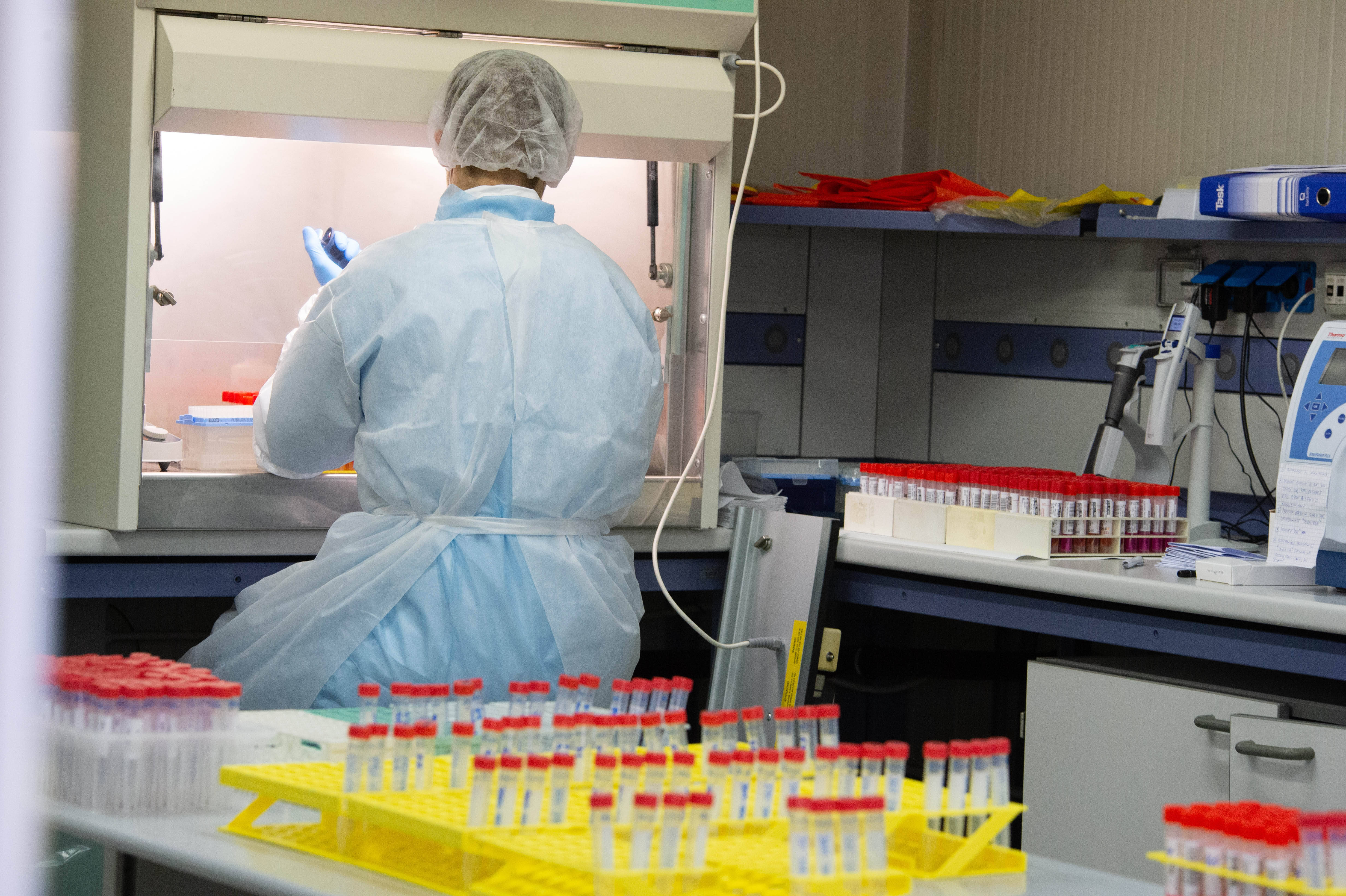 Immagine: FugattiFEM0611_017 (1).JPG Licenza sconosciuta