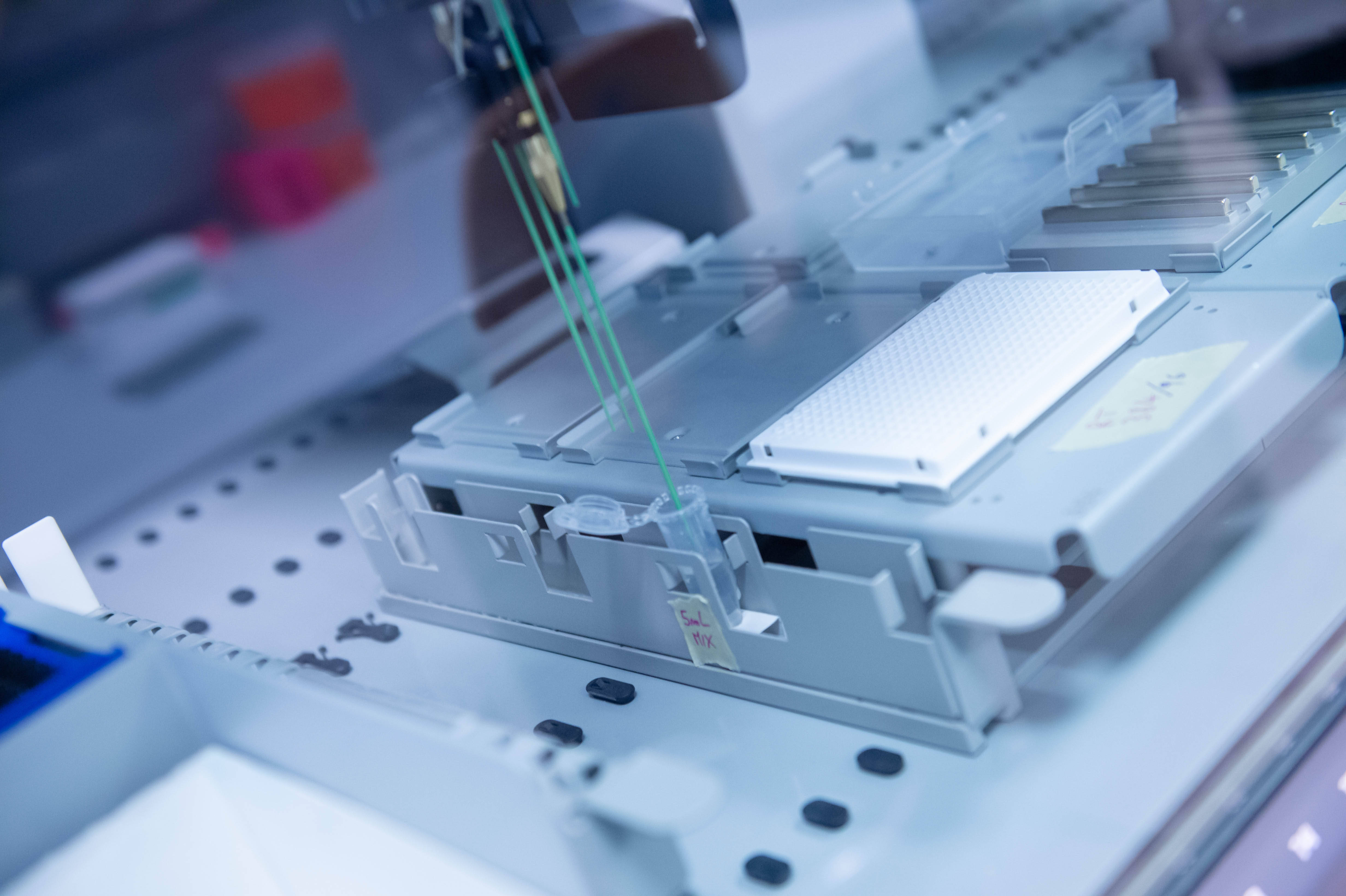 Immagine: FugattiFEM0611_039.JPG Licenza sconosciuta