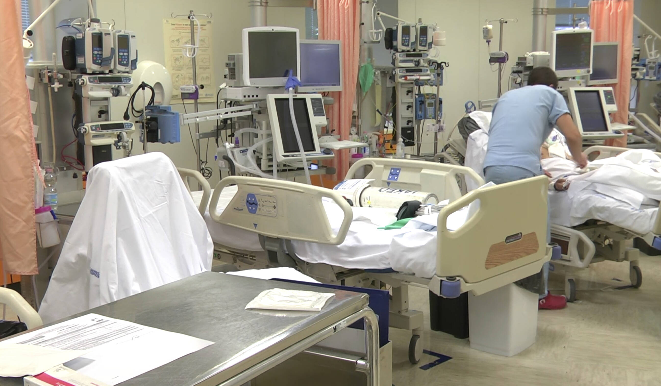 Immagine: 5965857E-0A7E-4F25-A9AC-C525566D81C1.jpeg Licenza sconosciuta