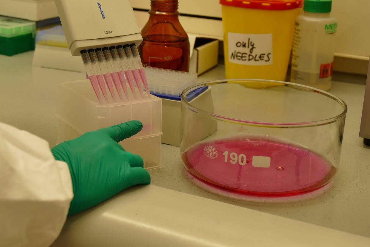 Immagine: ricerca FEM- LAB.JPG Licenza sconosciuta