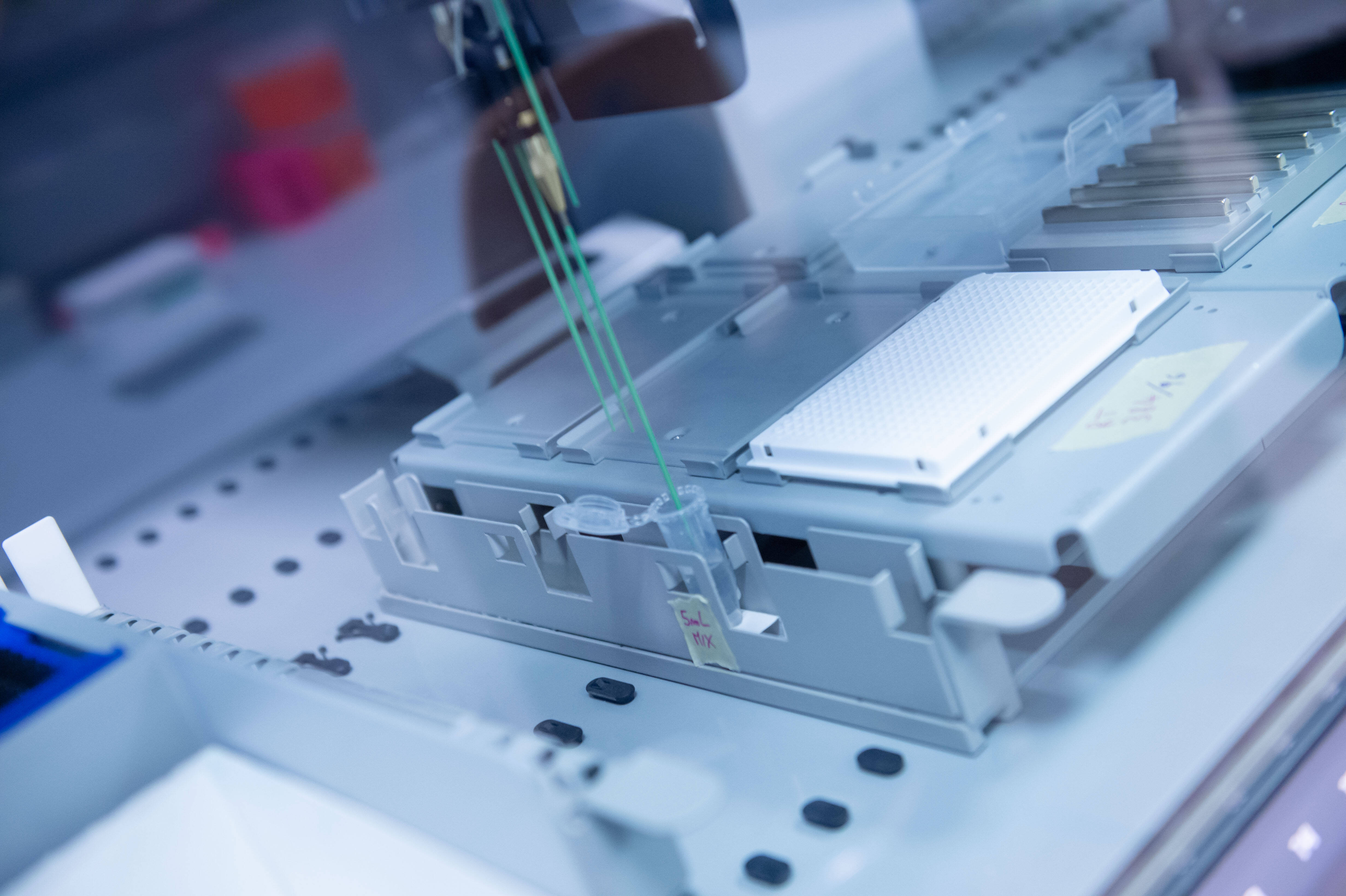 Immagine: Ph Daniele Panato-FugattiFEM0611004 (1).JPG Licenza sconosciuta