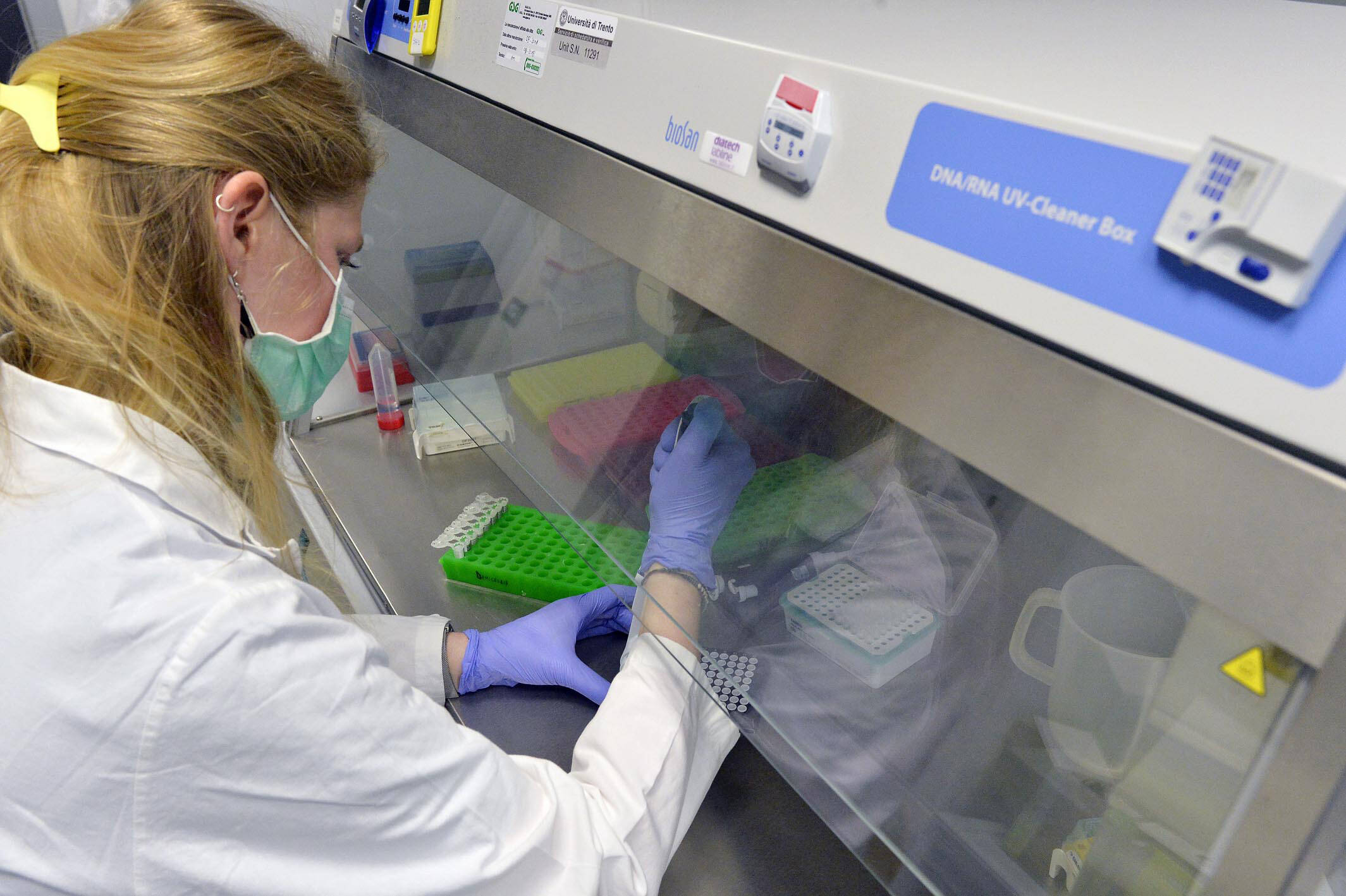 Immagine: CIBIO_Ph Alessio Coser_ALE2913.jpg Licenza sconosciuta