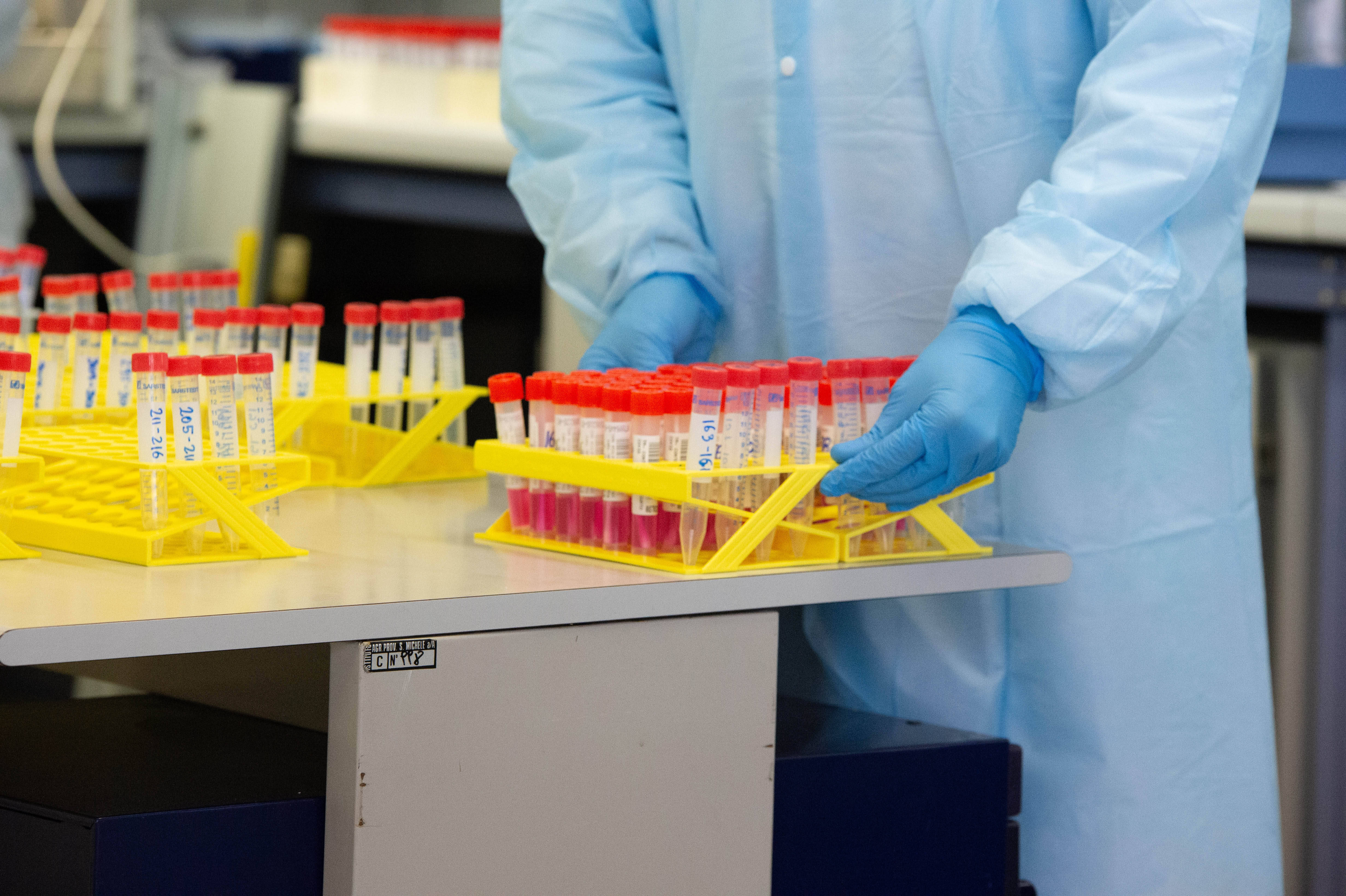 Immagine: FugattiFEM0611_024 (3).JPG Licenza sconosciuta