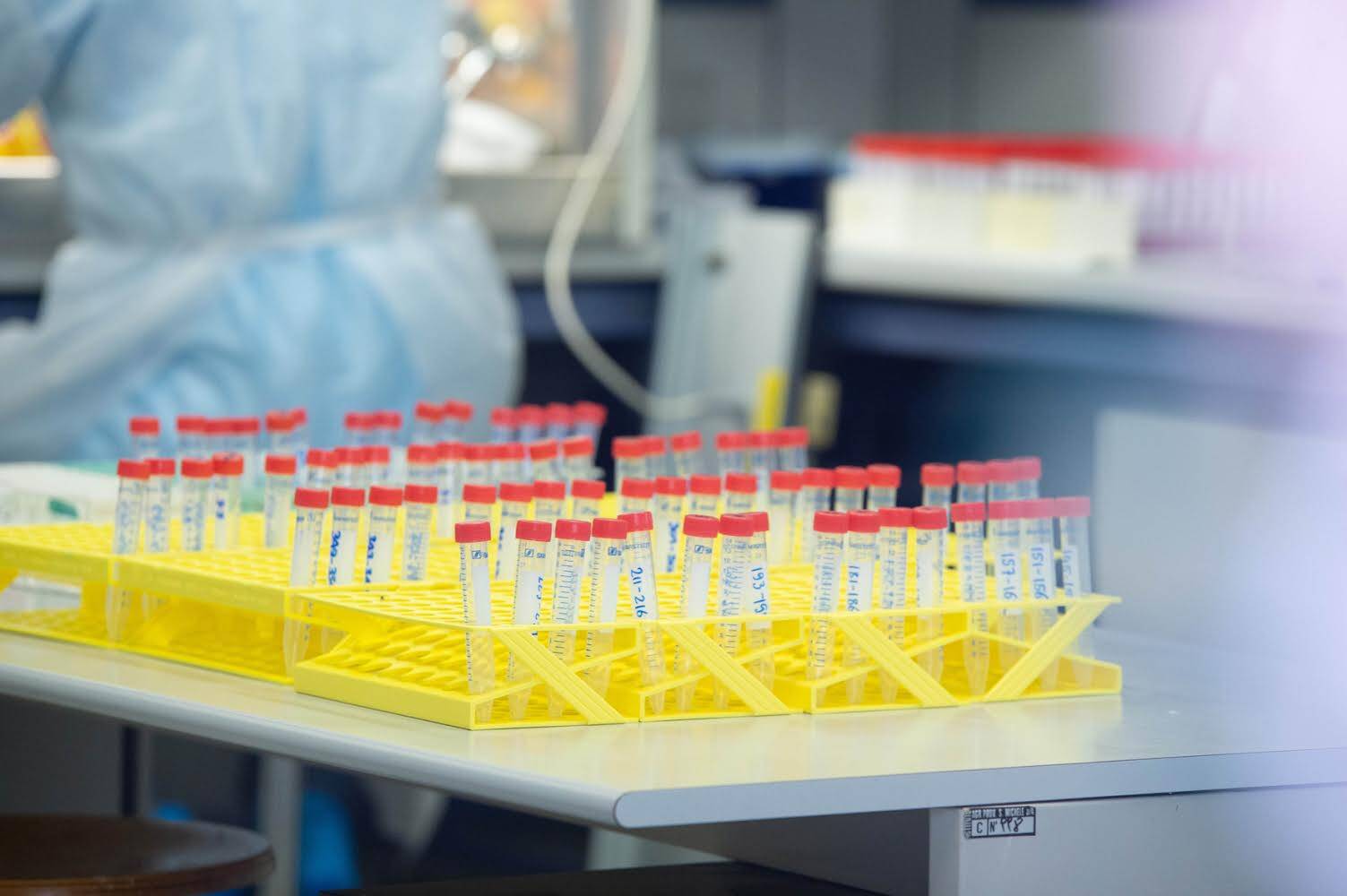 Immagine: 915842CB-0F2A-492F-B5A2-1B63905154D9.jpeg Licenza sconosciuta