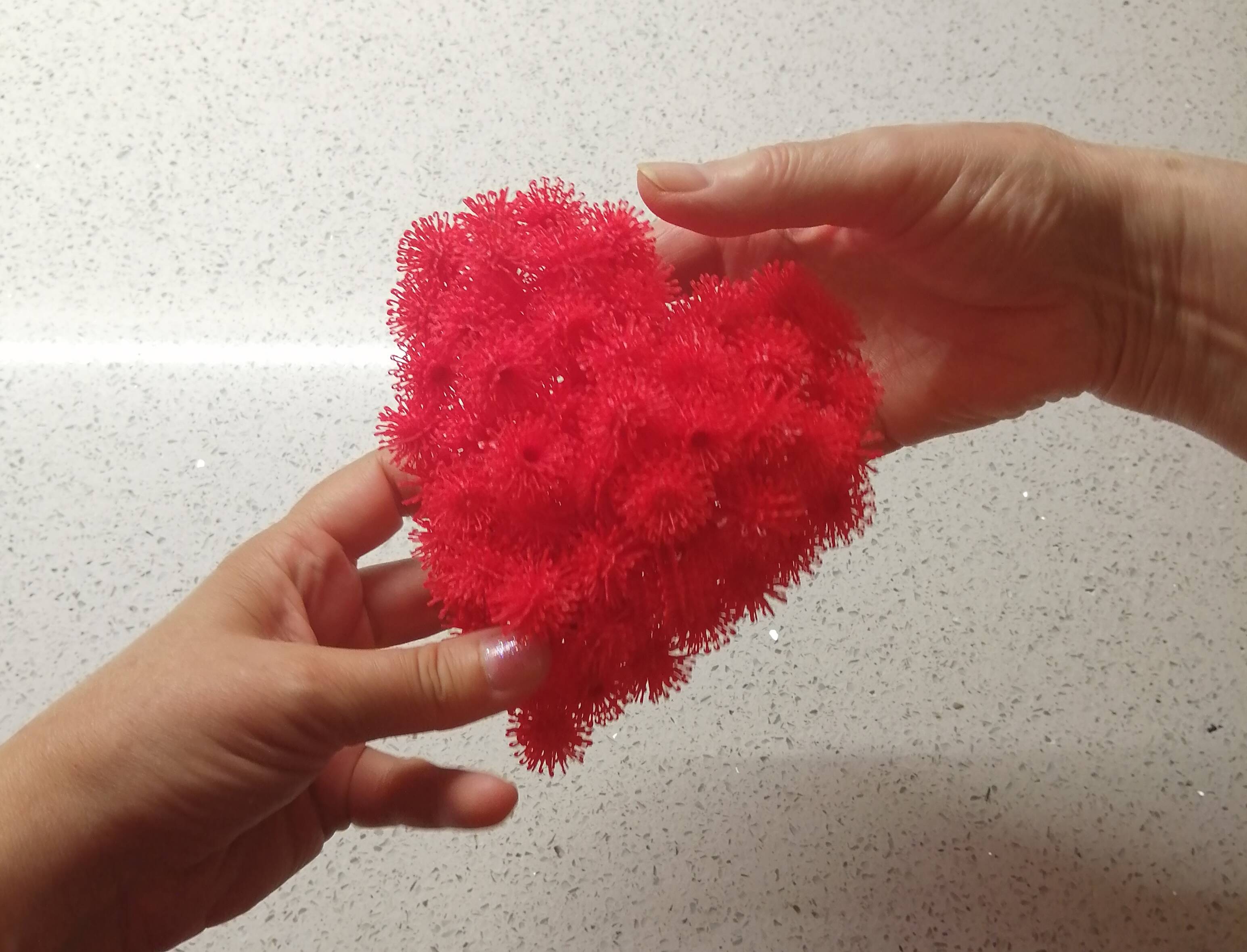 Immagine: IMG_20210805_212242.jpg Creative Commons Attributon–ShareAlike 4.0 International (CC BY-SA 4.0)