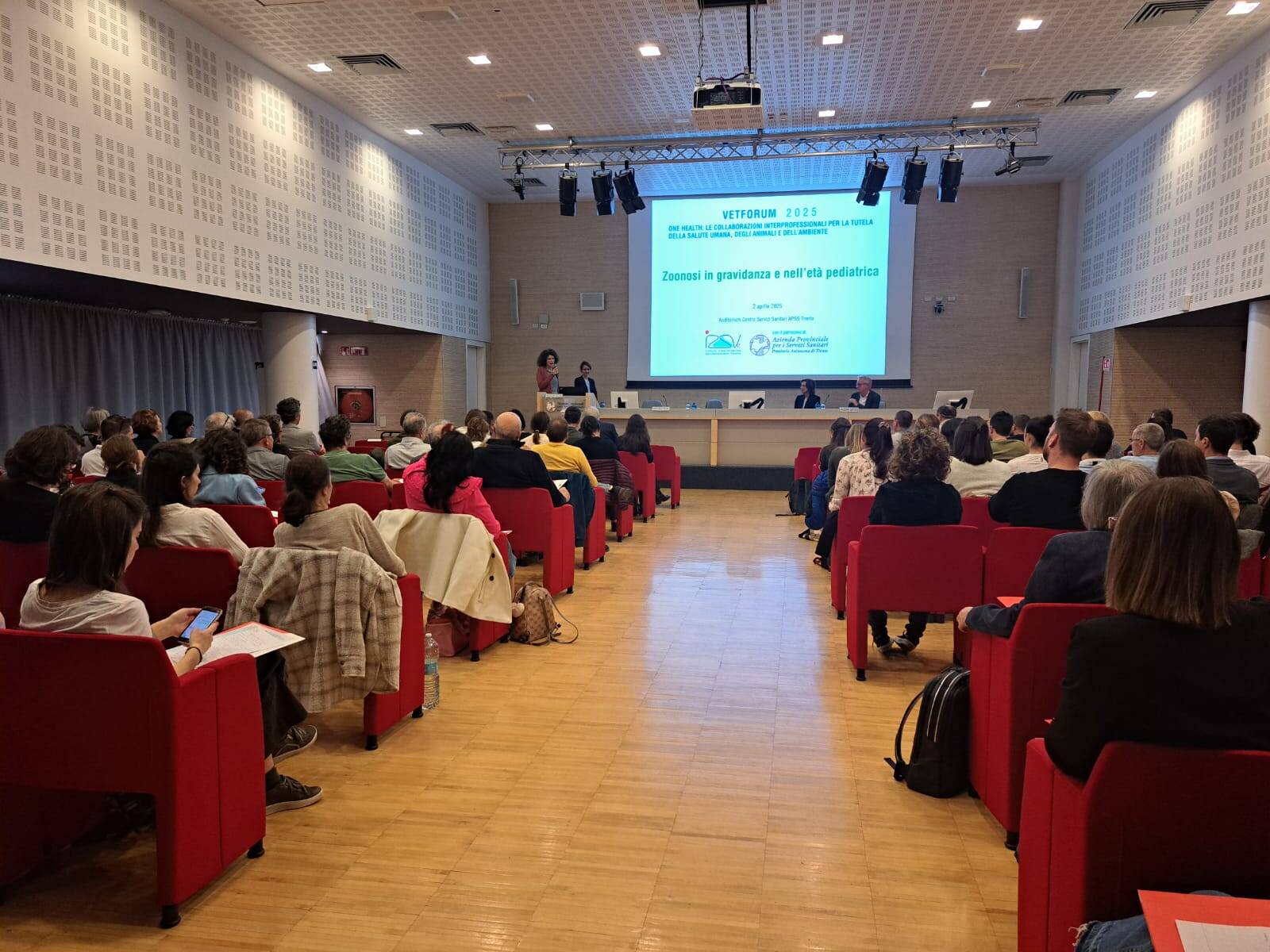 Immagine: WhatsApp Image 2025-04-02 at 15.46.49.jpeg Creative Commons Attributon–ShareAlike 4.0 International (CC BY-SA 4.0)