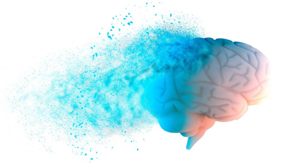 Immagine: unnamed (55).jpg Creative Commons Attributon–ShareAlike 4.0 International (CC BY-SA 4.0)