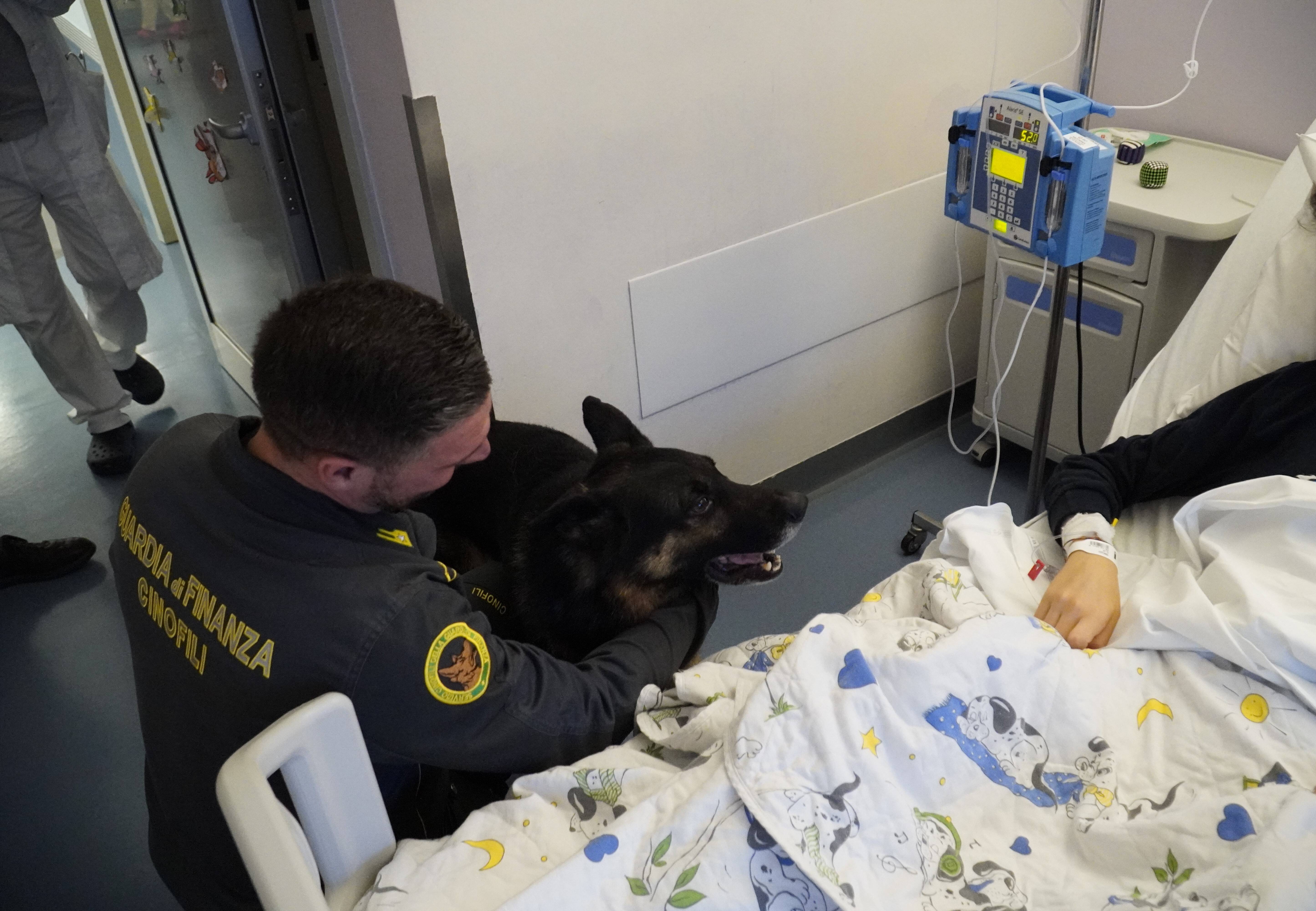 Immagine: _DSC0764.JPG Creative Commons Attributon–ShareAlike 4.0 International (CC BY-SA 4.0)